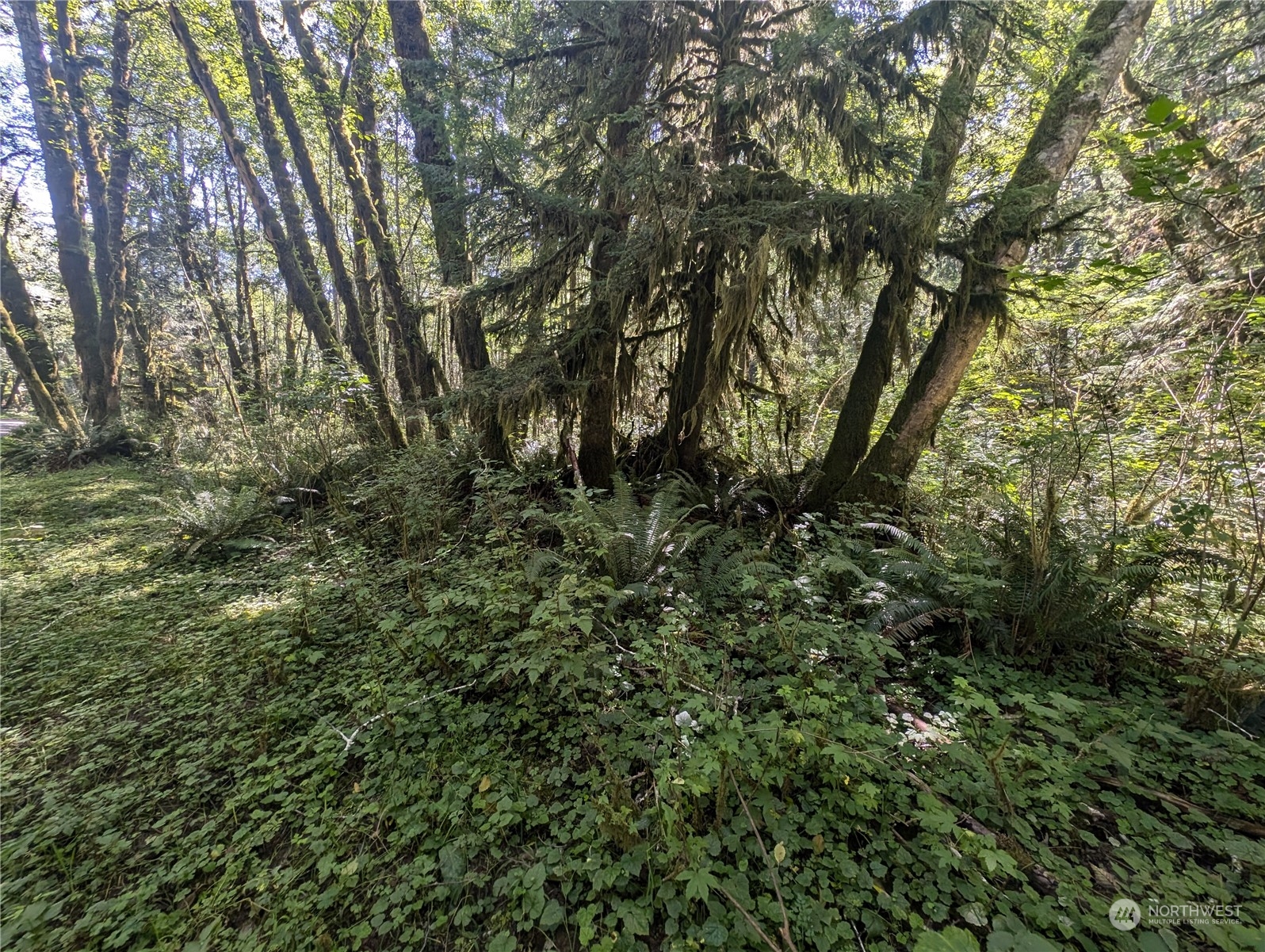99993 Dowans Creek Road Property Photo 12
