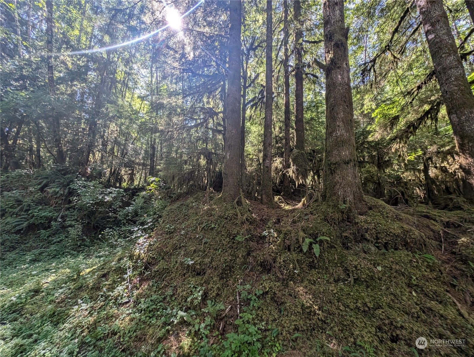 99993 Dowans Creek Road Property Photo 13