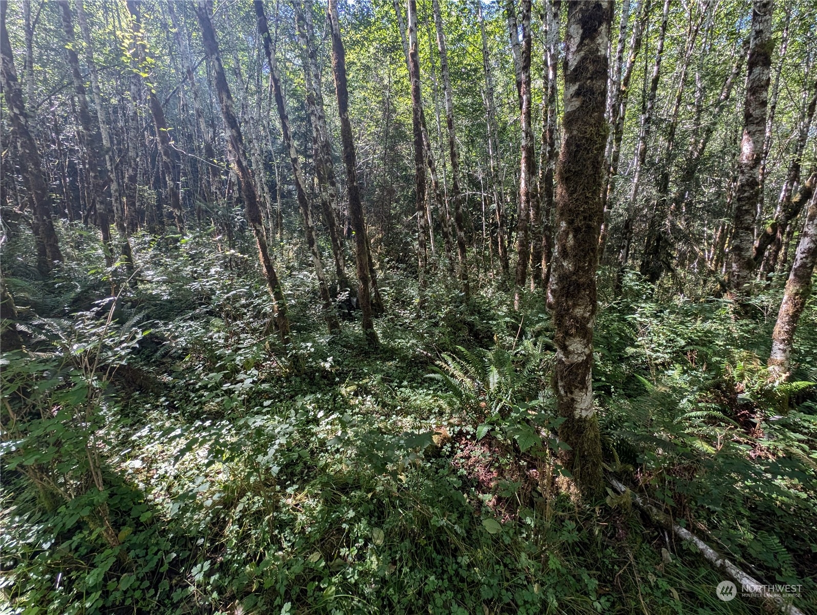99993 Dowans Creek Road Property Photo 14