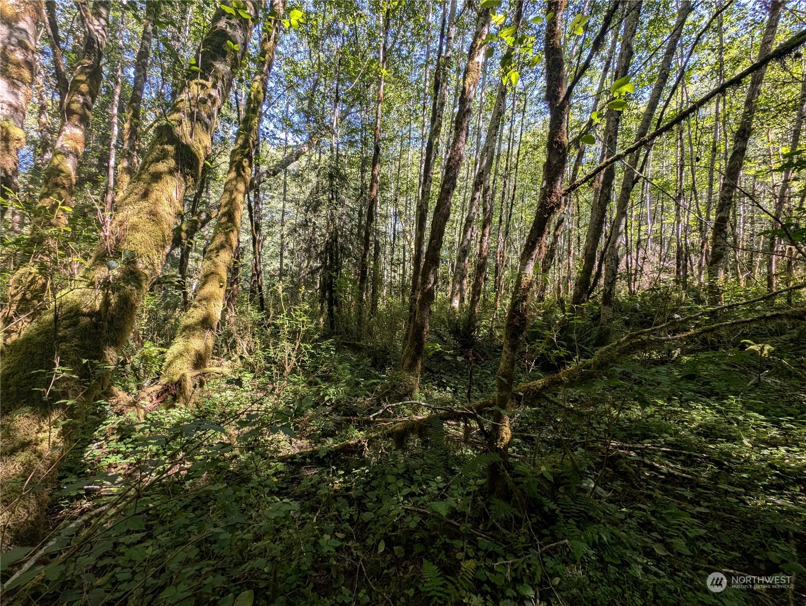 99993 Dowans Creek Road Property Photo 15