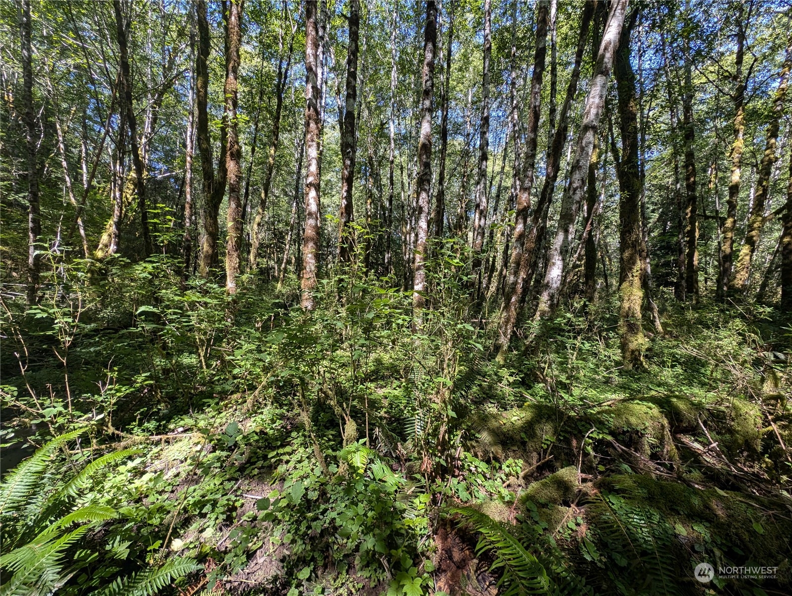 99993 Dowans Creek Road Property Photo 16