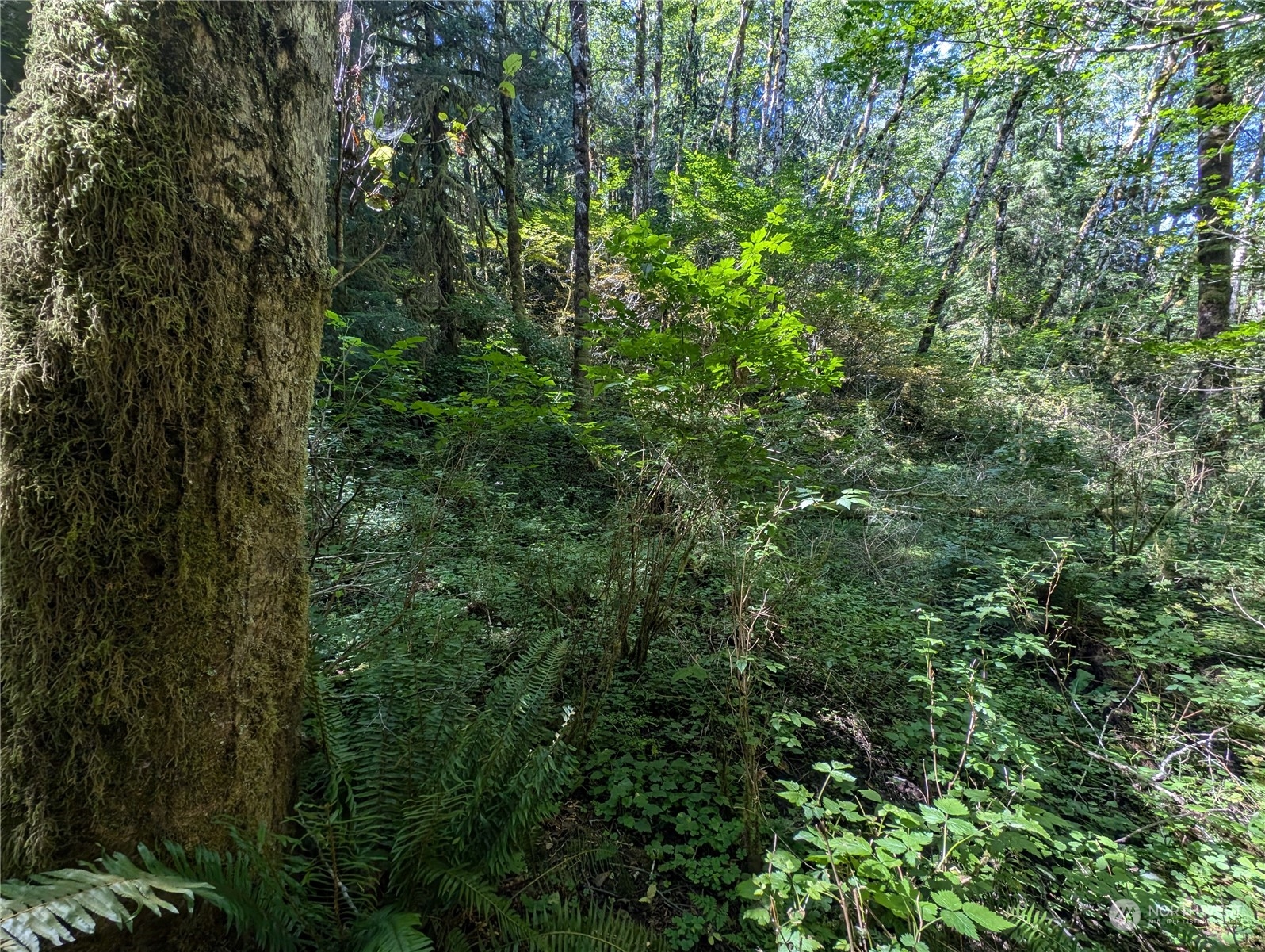 99993 Dowans Creek Road Property Photo 17