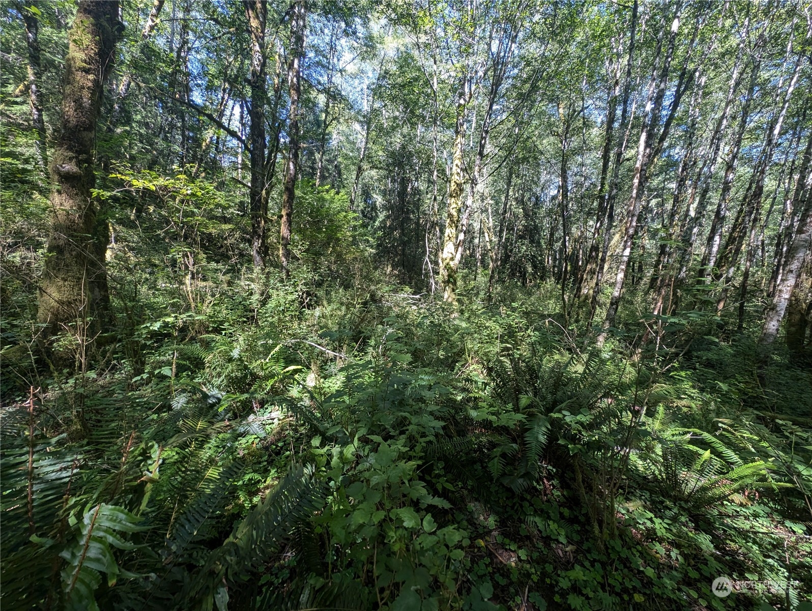 99993 Dowans Creek Road Property Photo 18