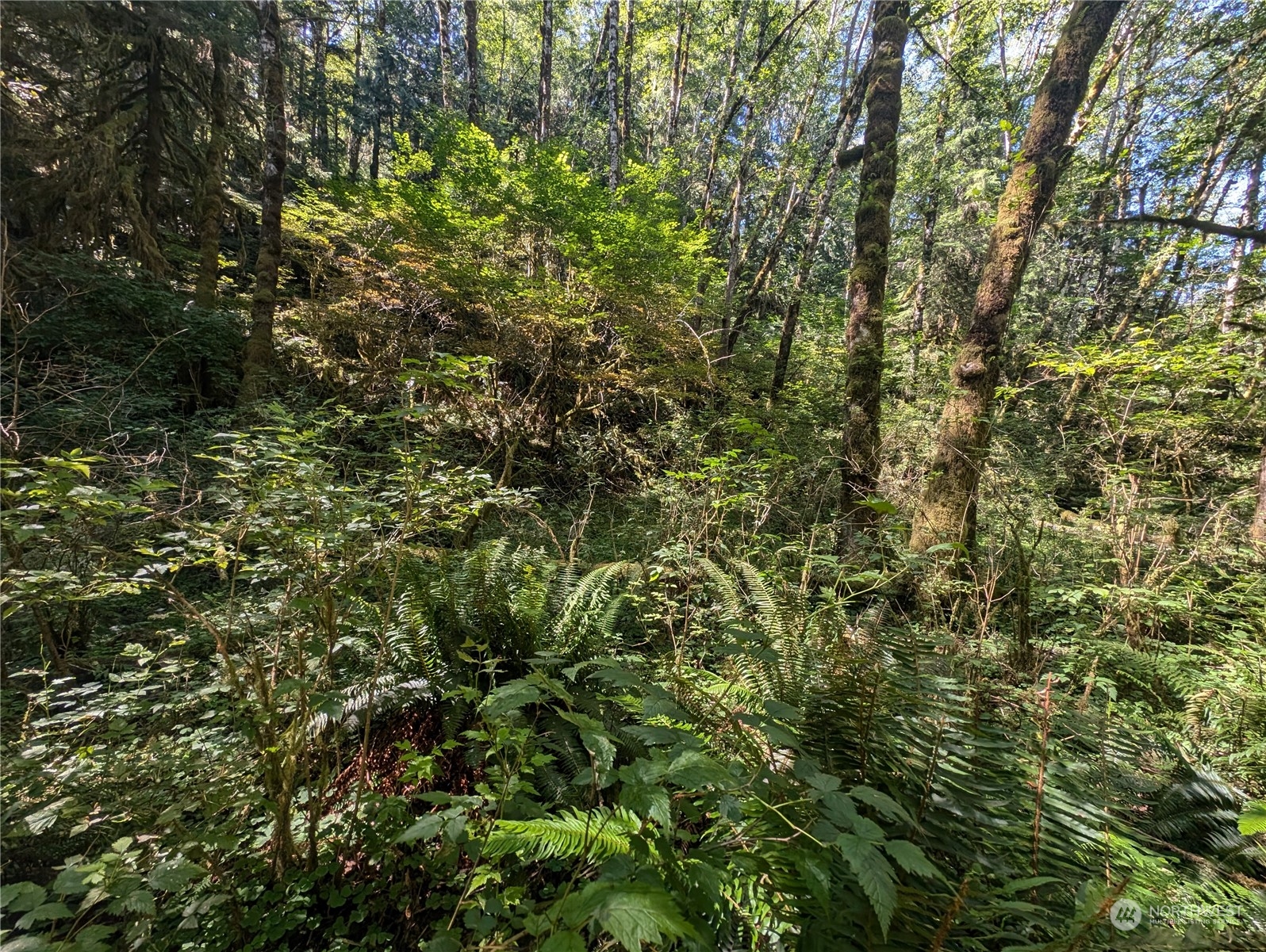 99993 Dowans Creek Road Property Photo 19
