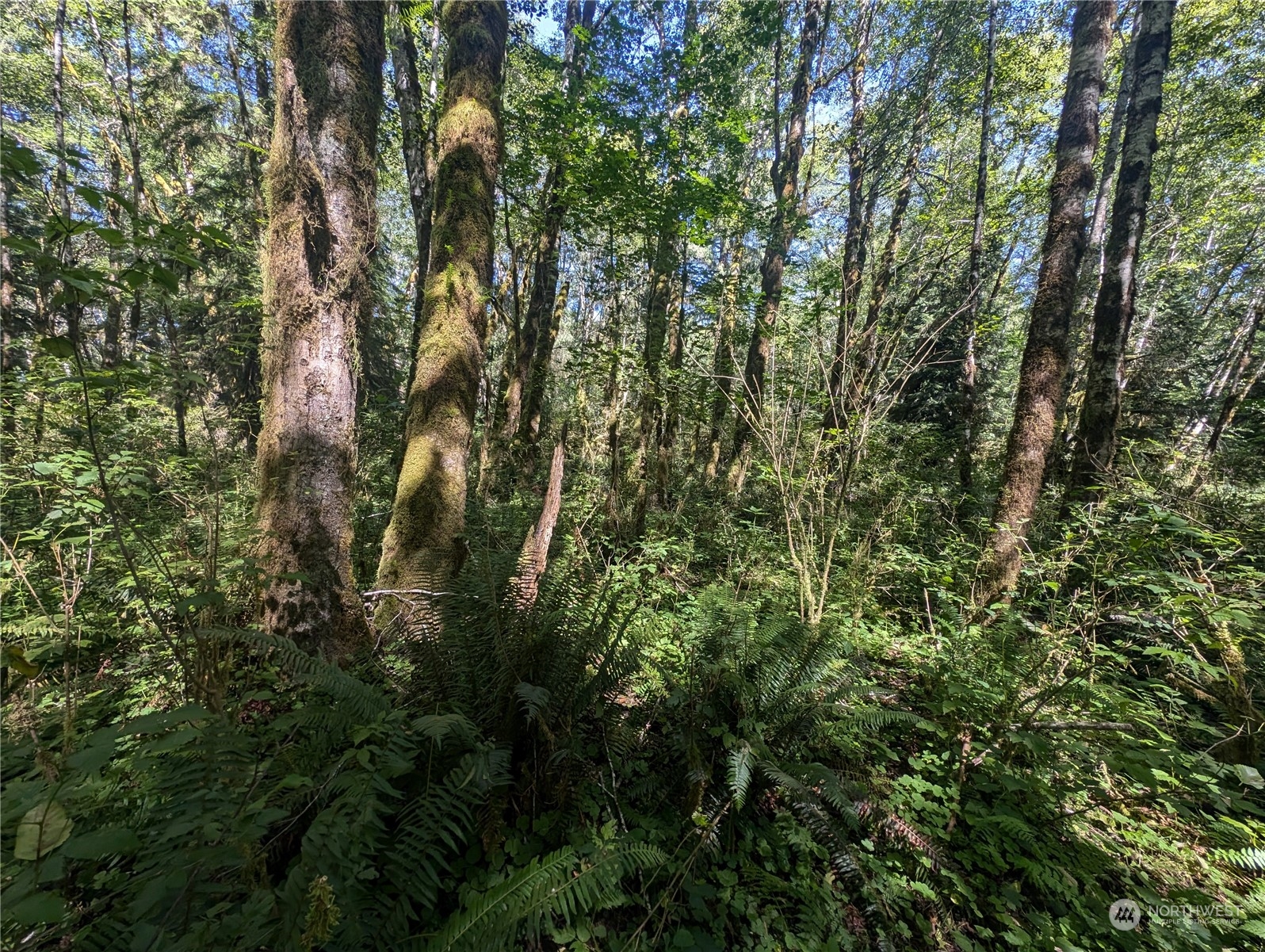99993 Dowans Creek Road Property Photo 20