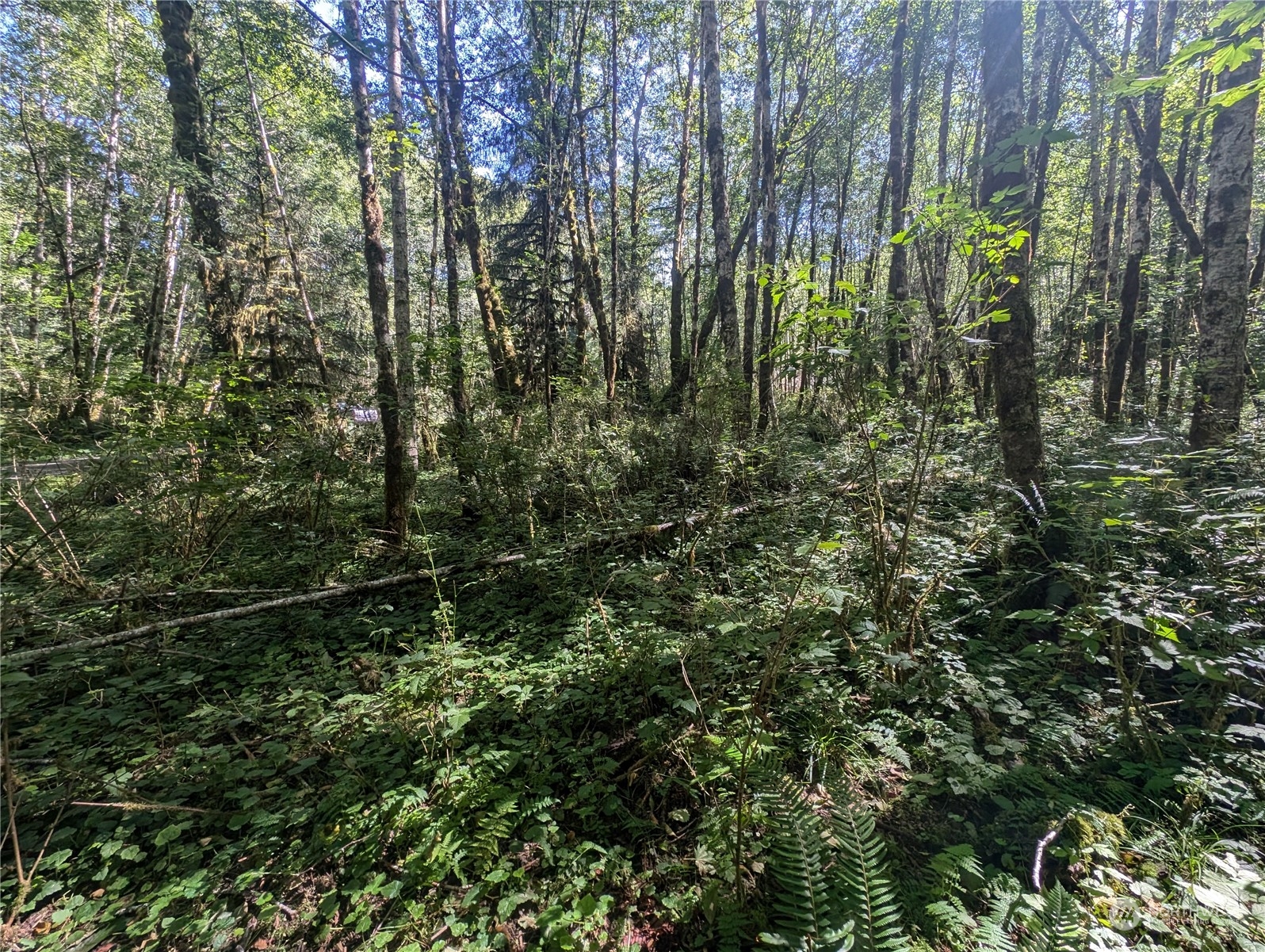 99993 Dowans Creek Road Property Photo 21