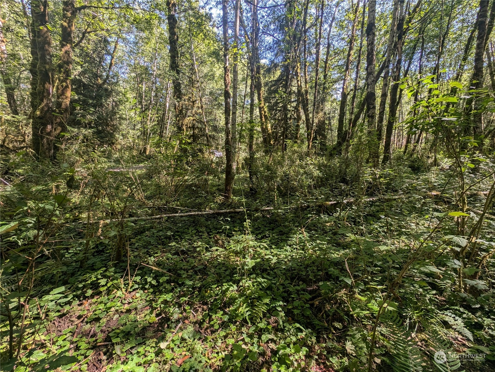 99993 Dowans Creek Road Property Photo 22