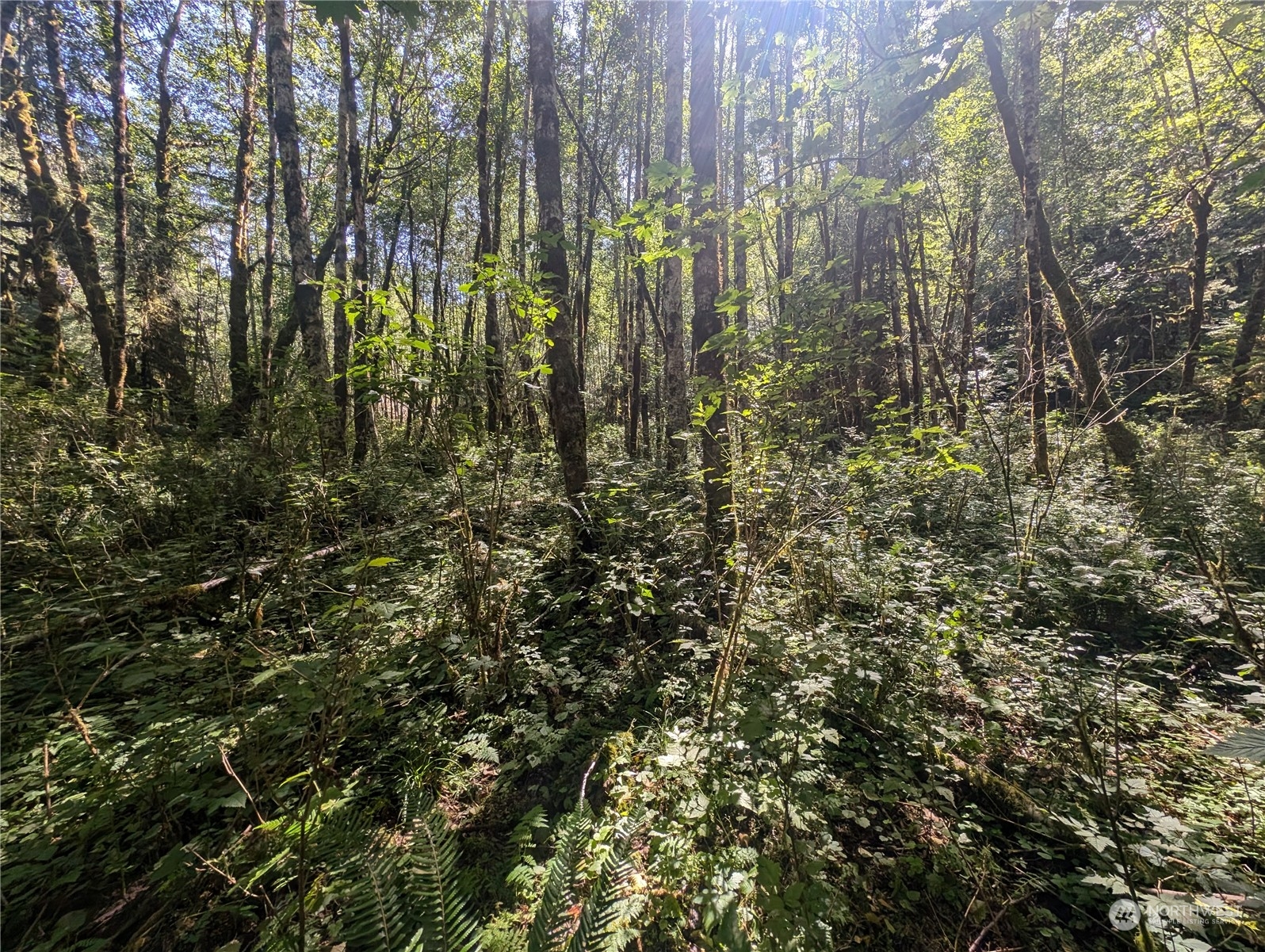 99993 Dowans Creek Road Property Photo 23