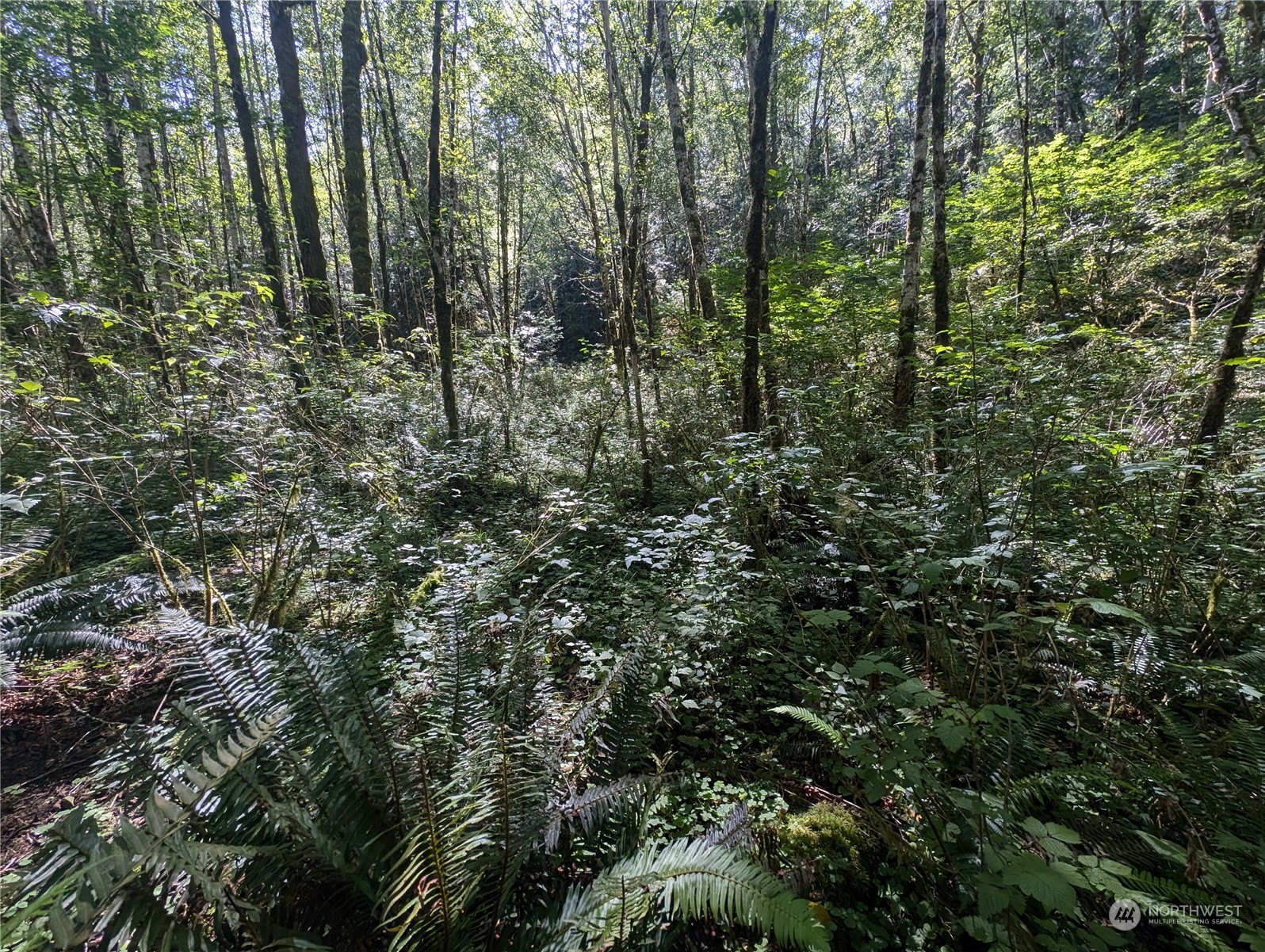 99993 Dowans Creek Road Property Photo 24