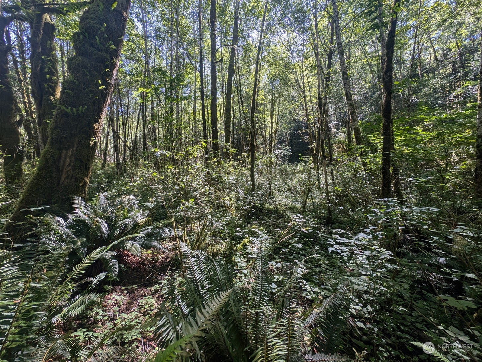 99993 Dowans Creek Road Property Photo 25