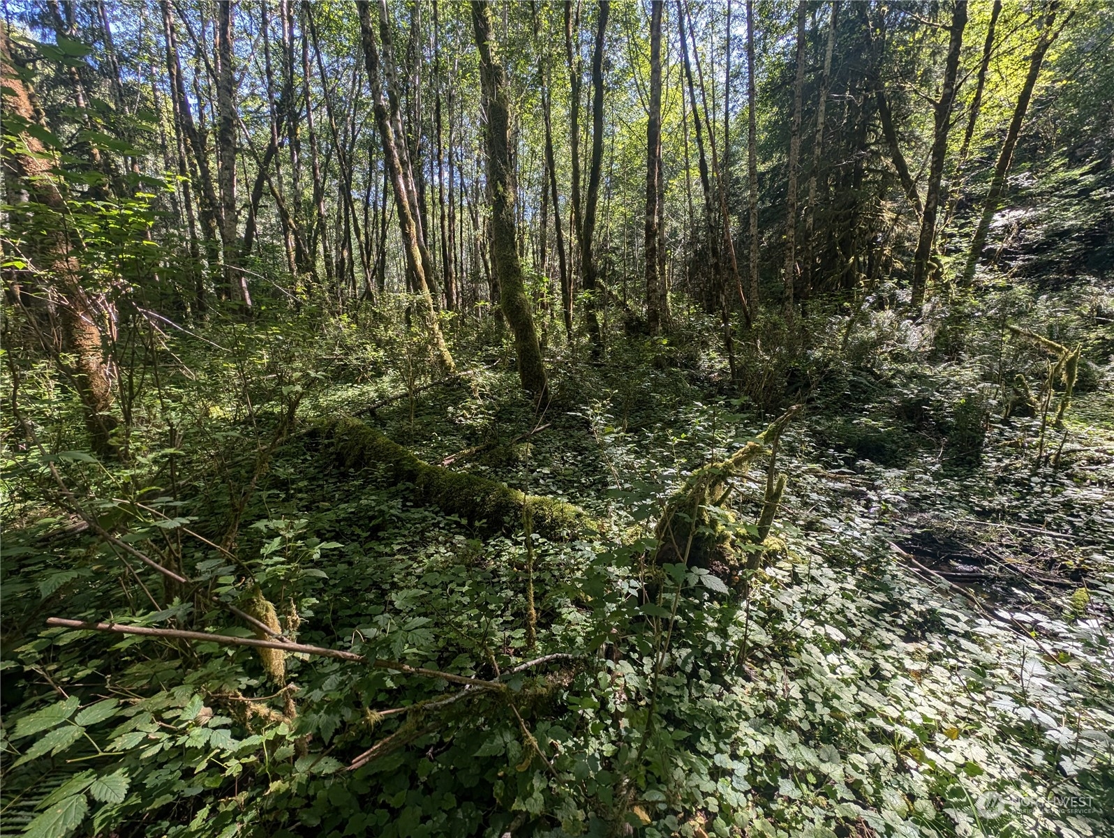 99993 Dowans Creek Road Property Photo 26