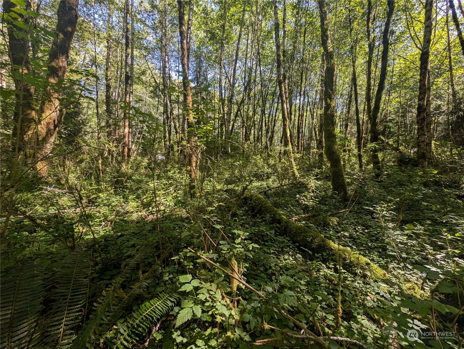99993 Dowans Creek Road Property Photo 27