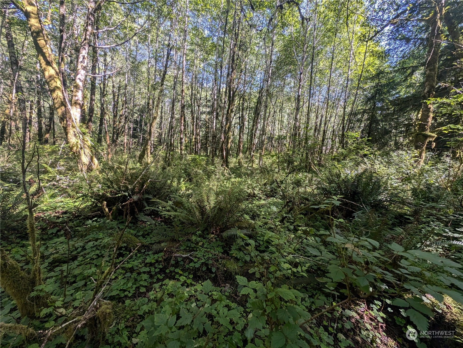 99993 Dowans Creek Road Property Photo 30