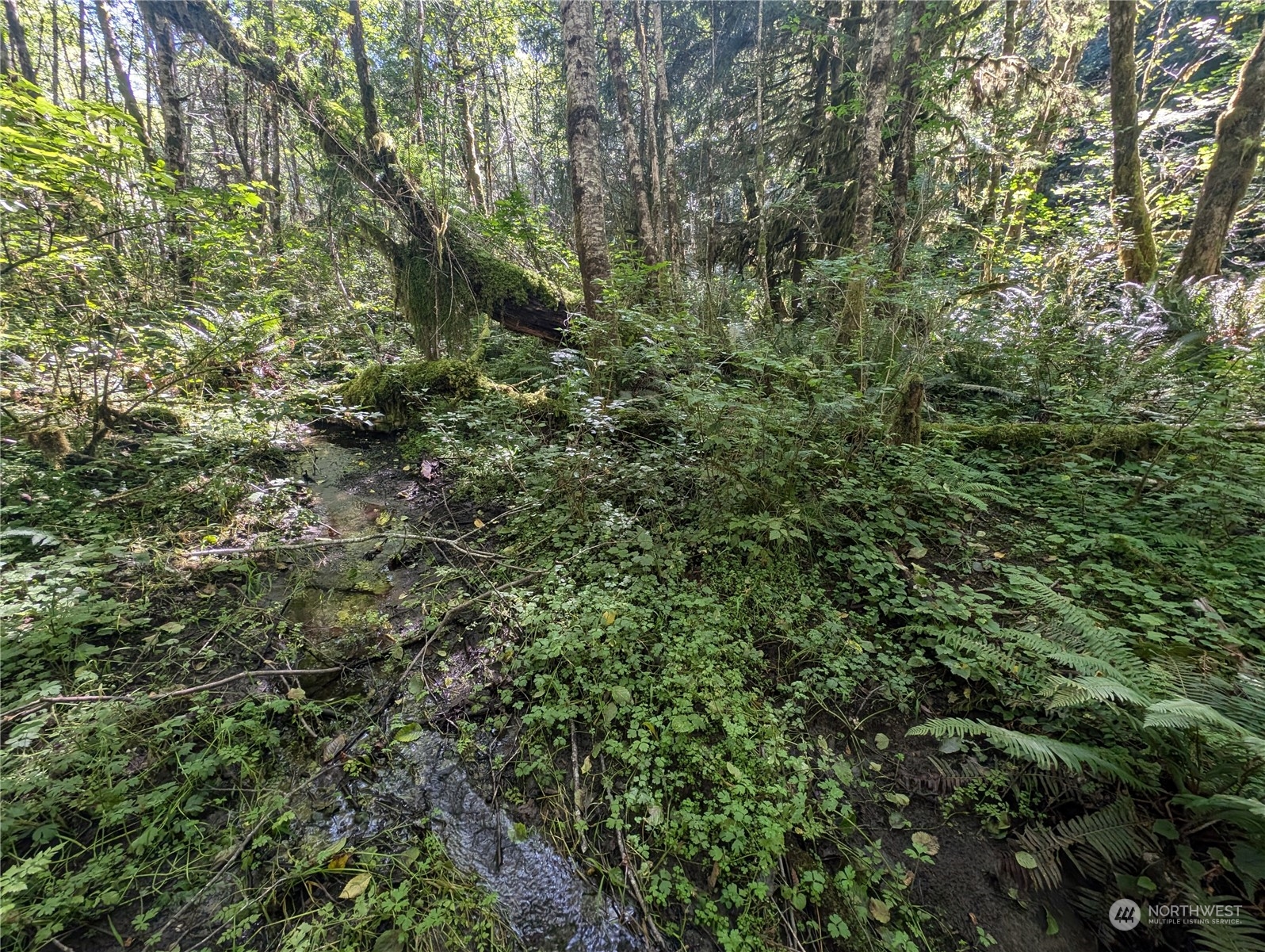 99993 Dowans Creek Road Property Photo 31