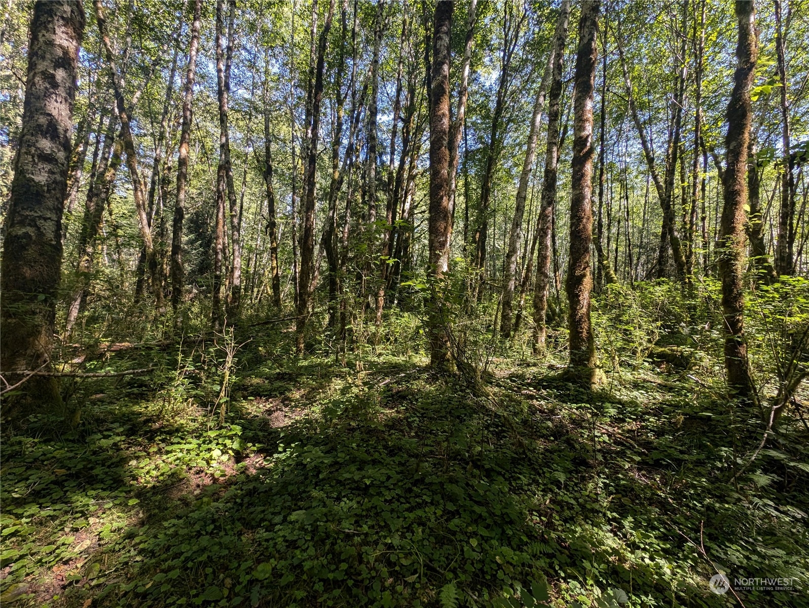 99993 Dowans Creek Road Property Photo 32