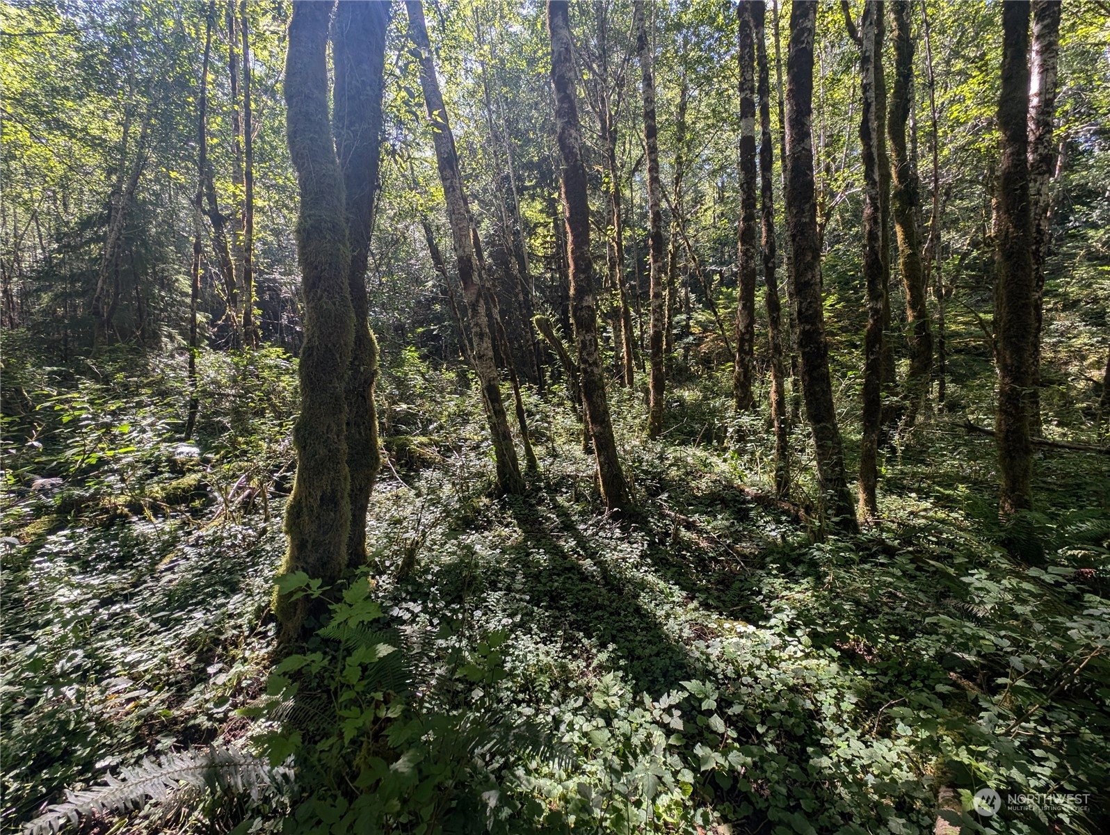 99993 Dowans Creek Road Property Photo 33