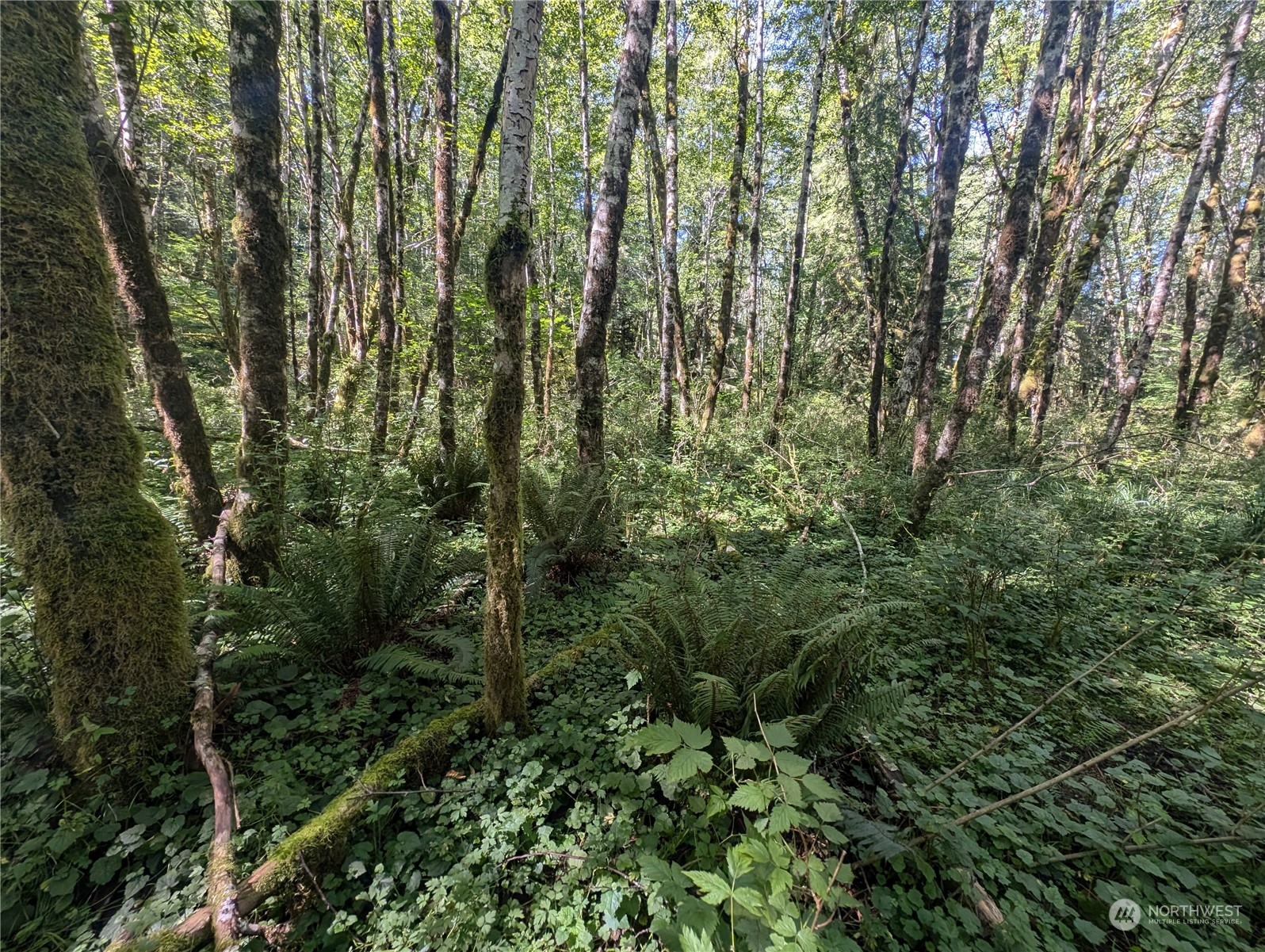 99993 Dowans Creek Road Property Photo 34
