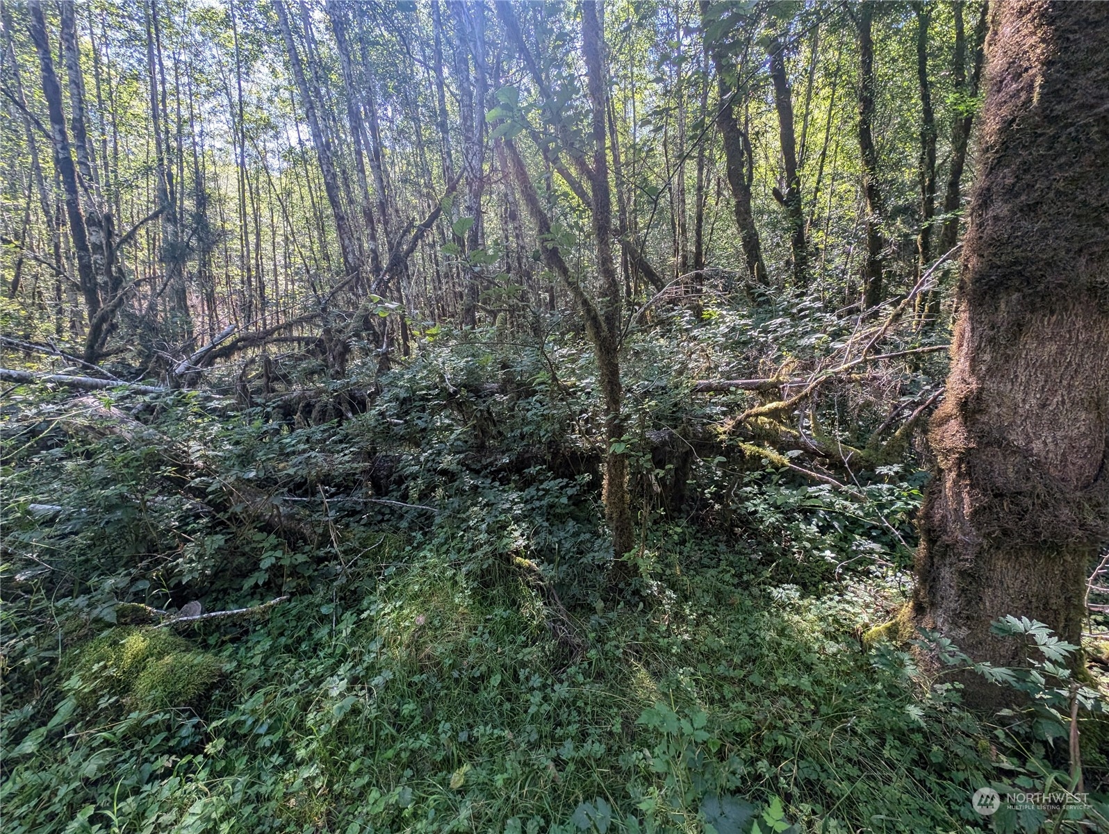 99993 Dowans Creek Road Property Photo 36