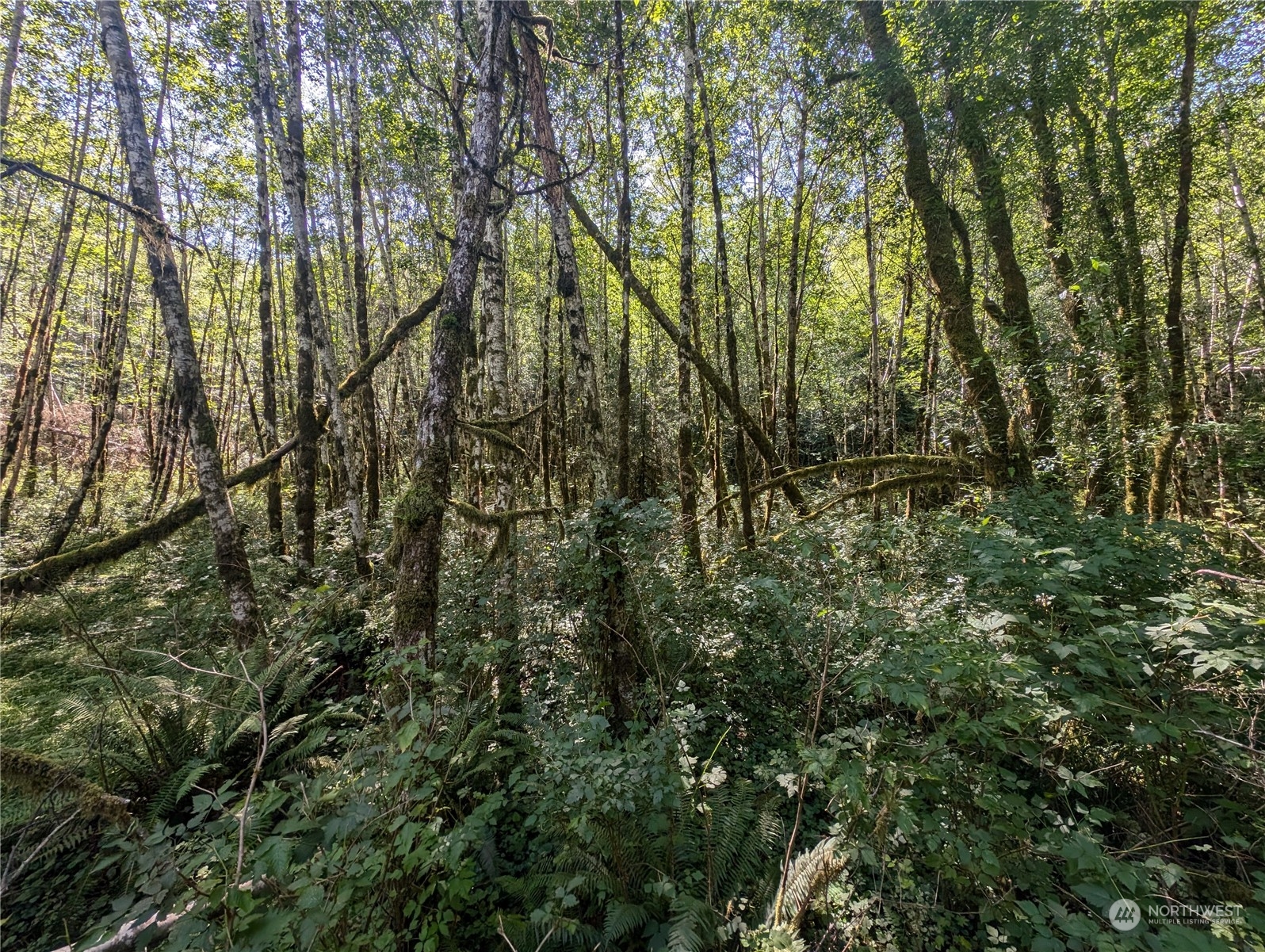 99993 Dowans Creek Road Property Photo 37