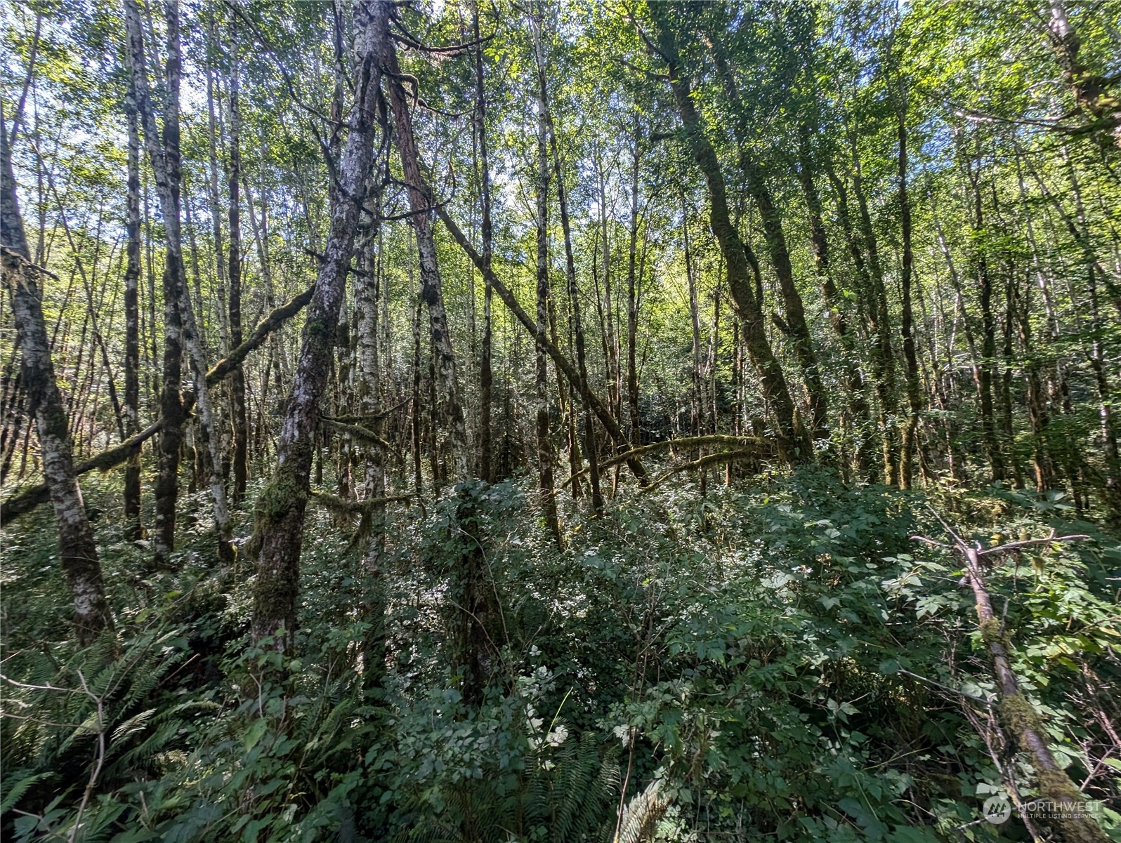 99993 Dowans Creek Road Property Photo 38