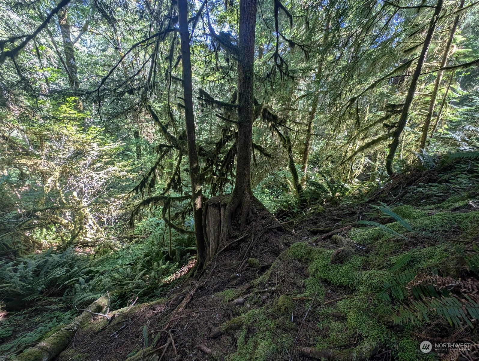99993 Dowans Creek Road Property Photo 39