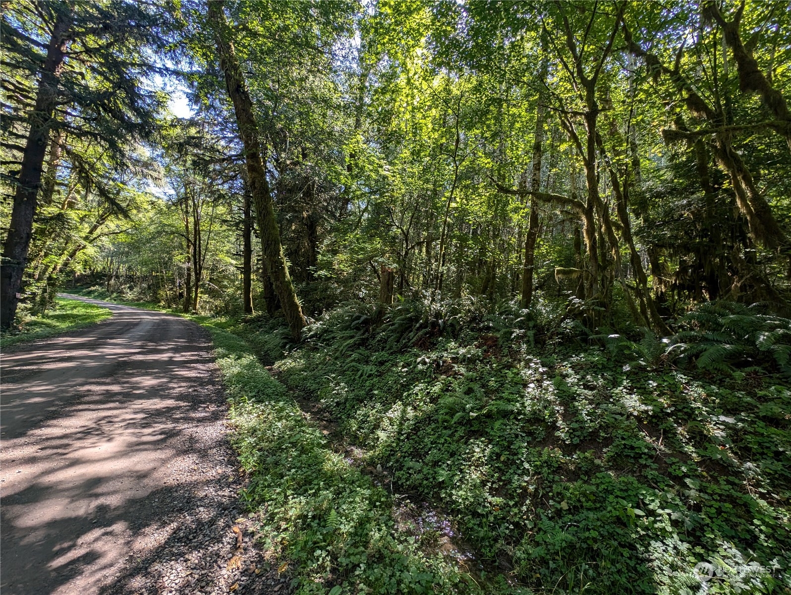99994 Dowans Creek Road Property Photo