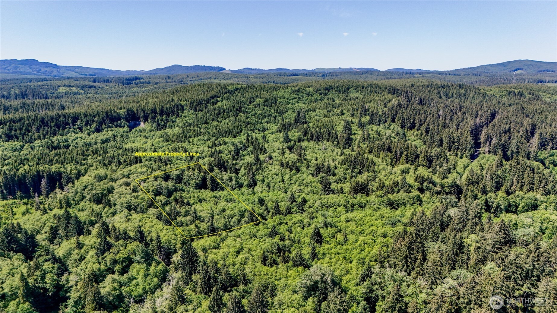 99994 Dowans Creek Road Property Photo 2
