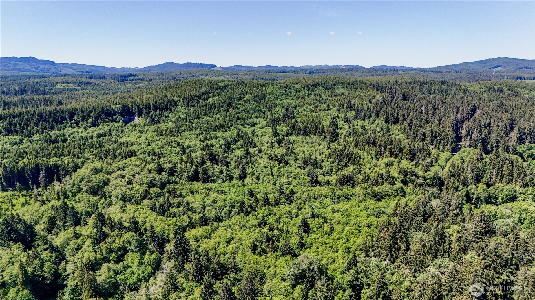 99994 Dowans Creek Road Property Photo 6