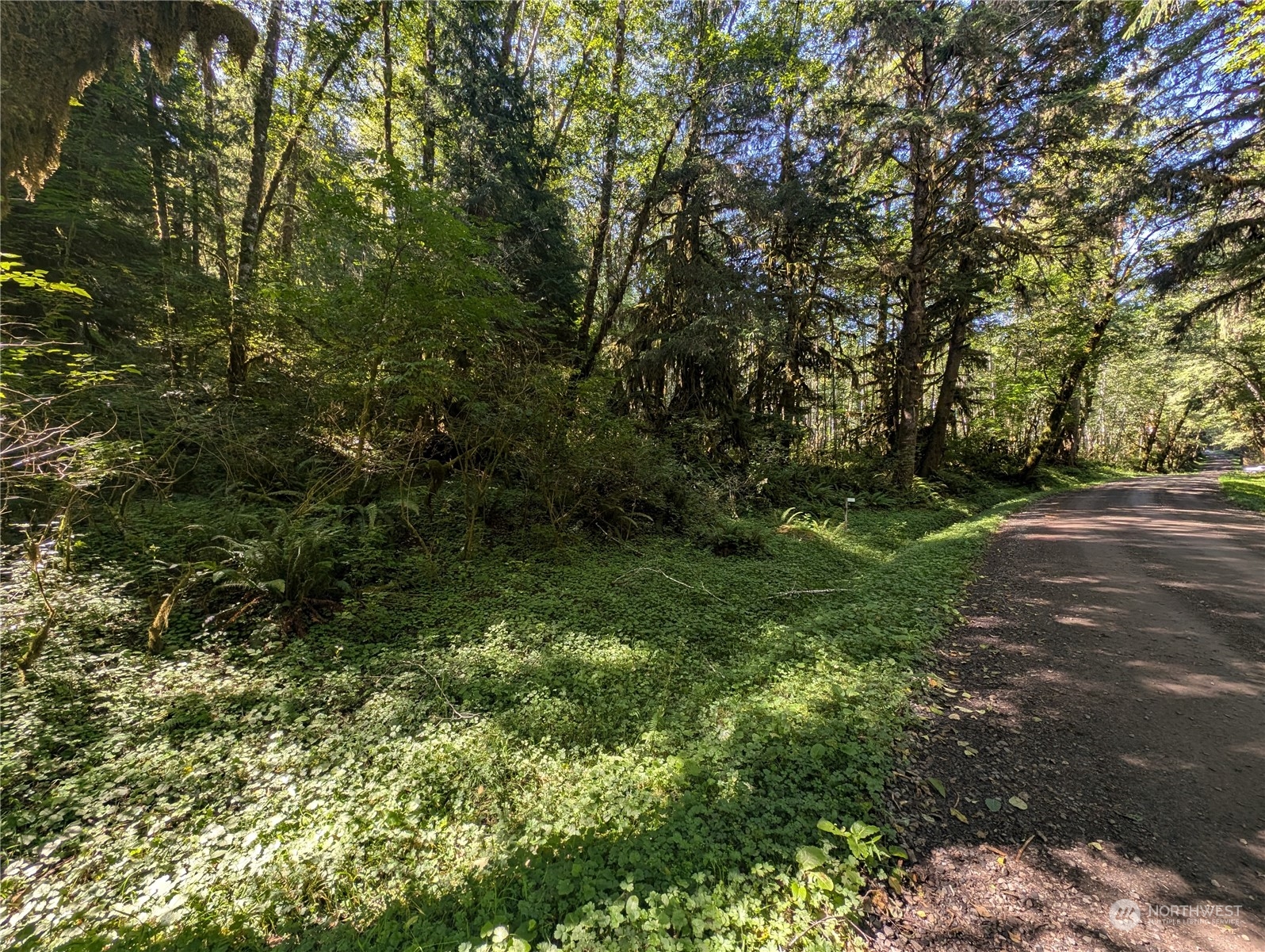 99994 Dowans Creek Road Property Photo 8