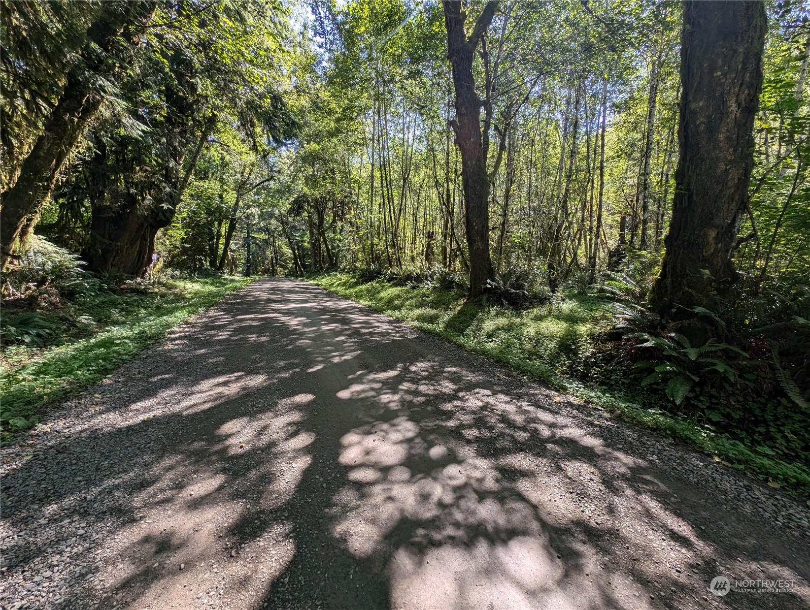 99994 Dowans Creek Road Property Photo 9