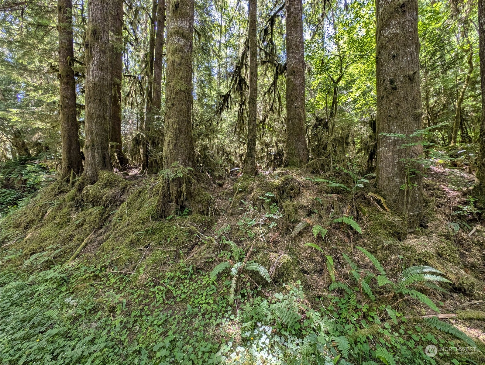 99994 Dowans Creek Road Property Photo 10