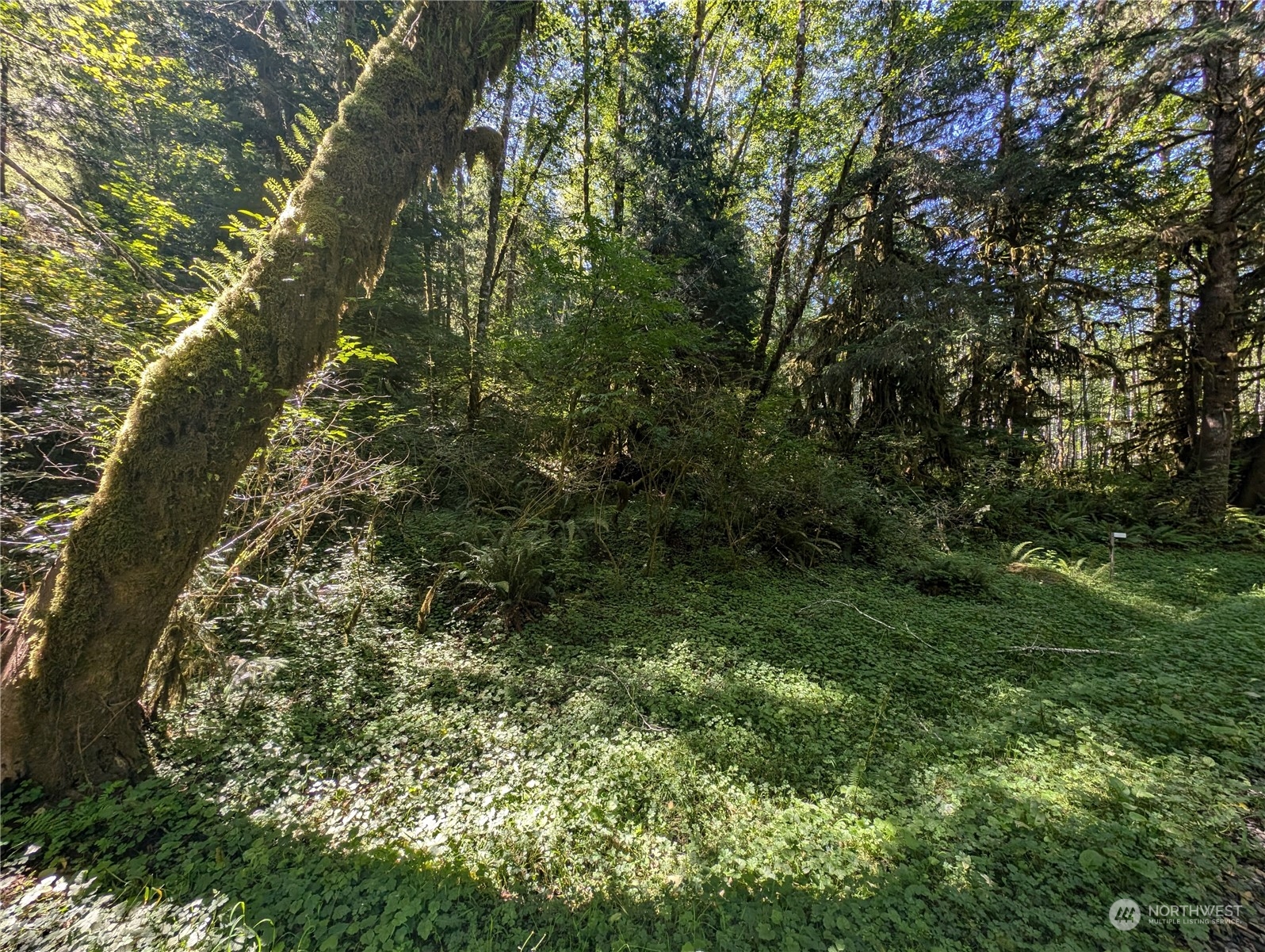 99994 Dowans Creek Road Property Photo 11