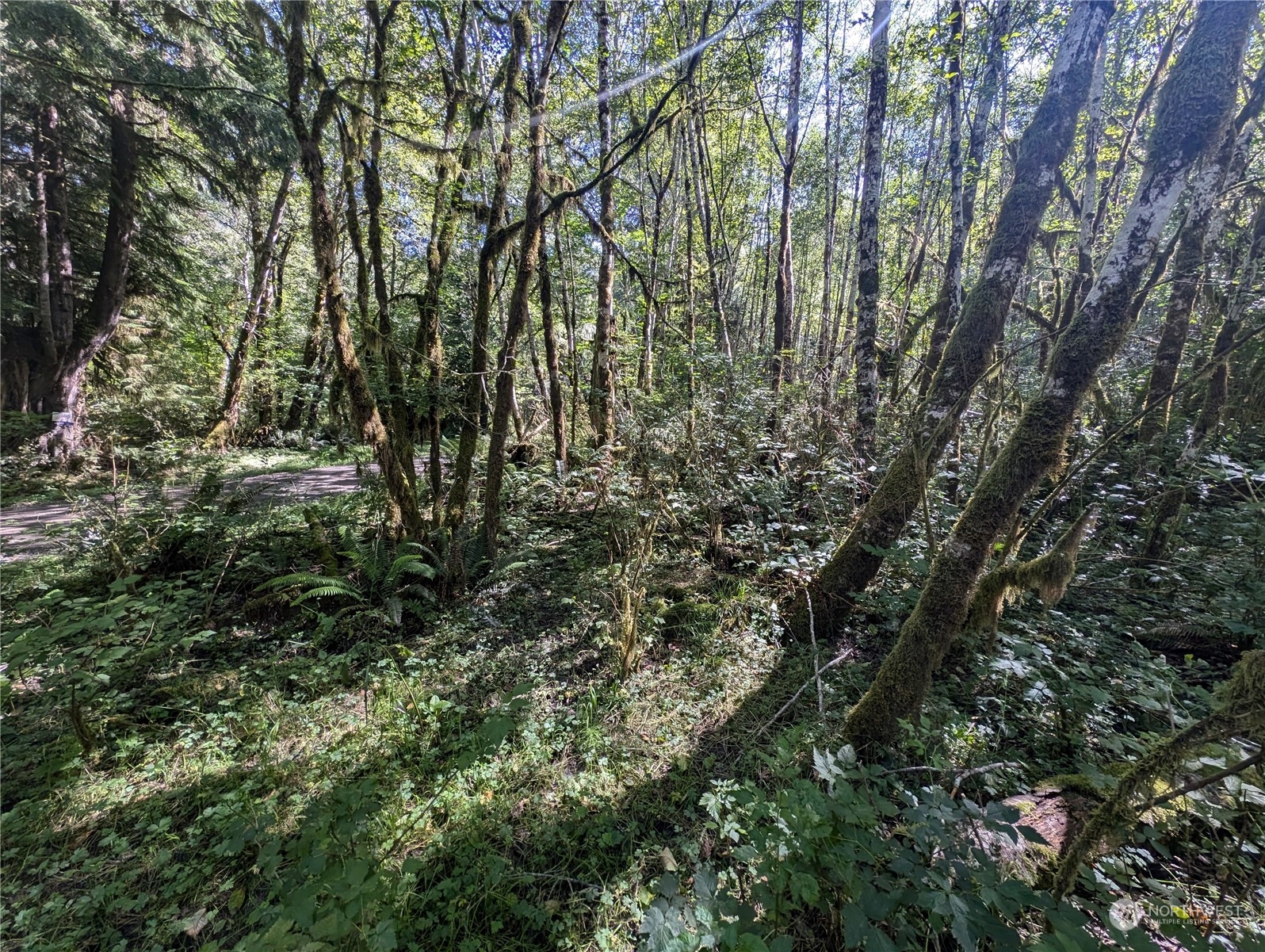 99994 Dowans Creek Road Property Photo 12