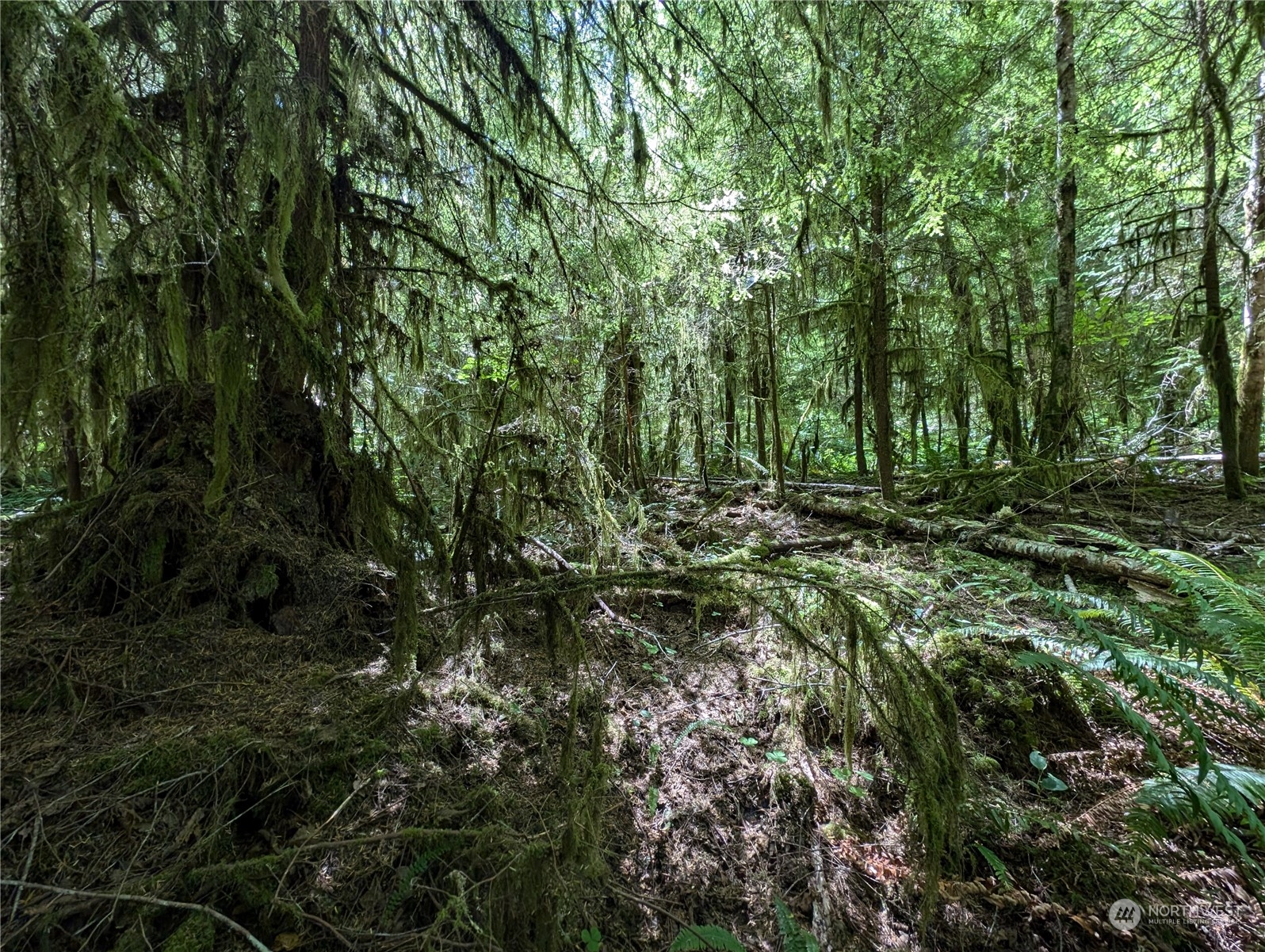 99994 Dowans Creek Road Property Photo 13