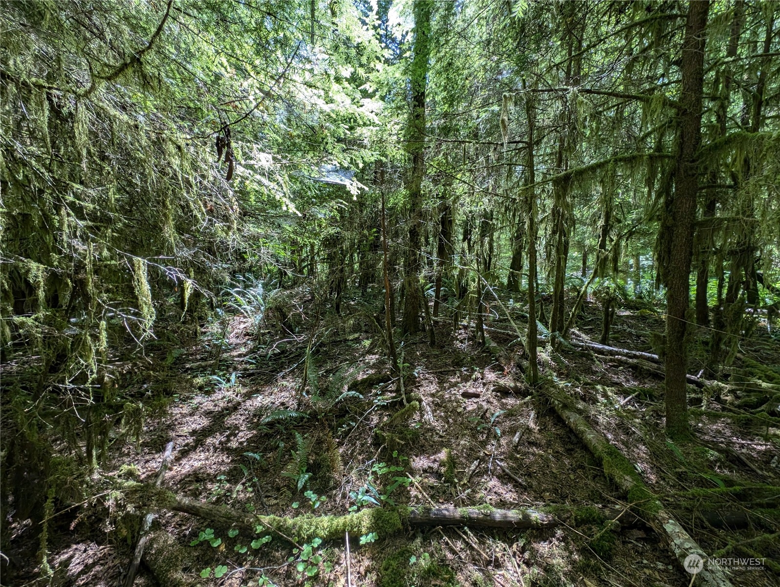 99994 Dowans Creek Road Property Photo 14
