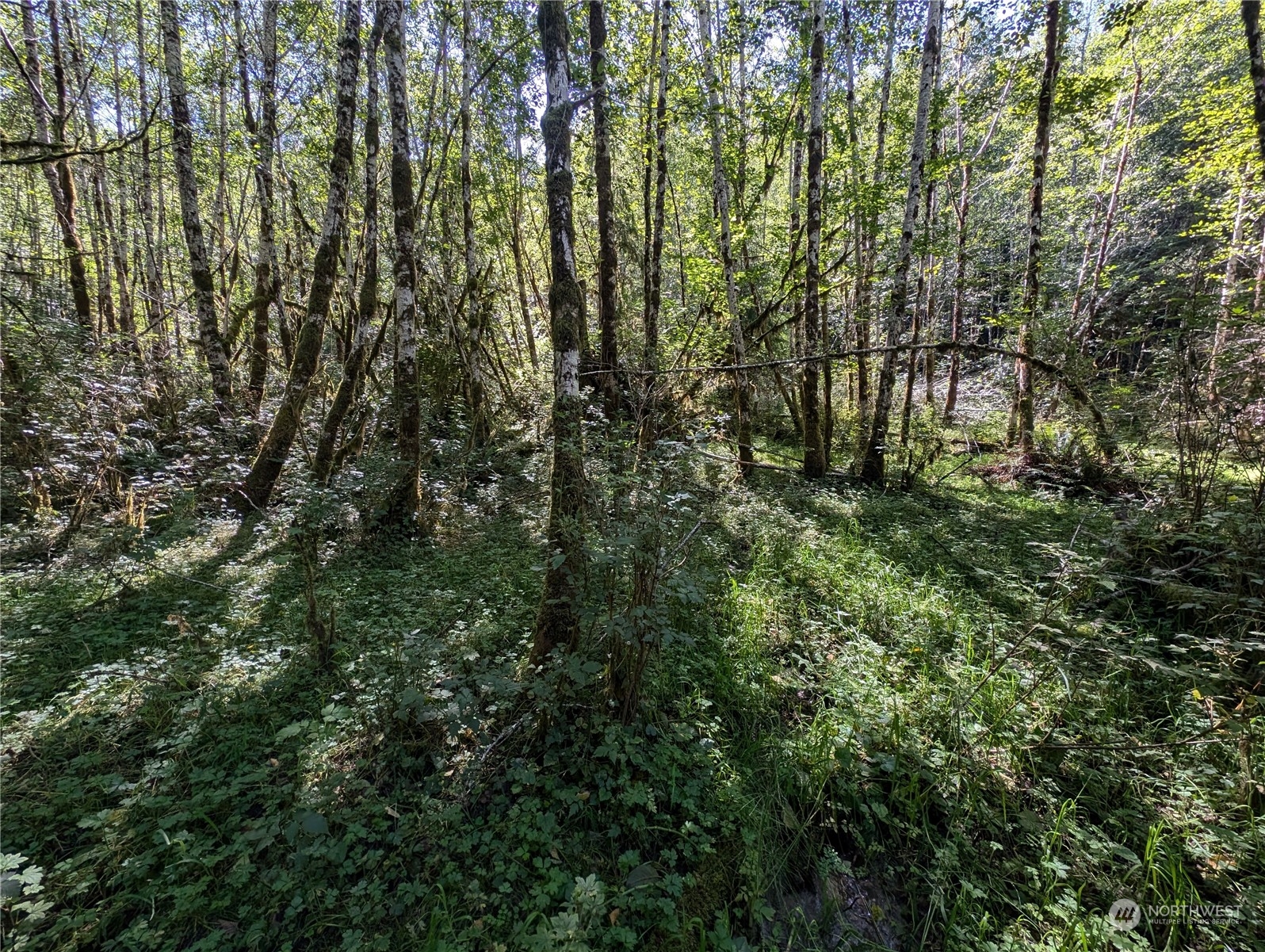 99994 Dowans Creek Road Property Photo 15