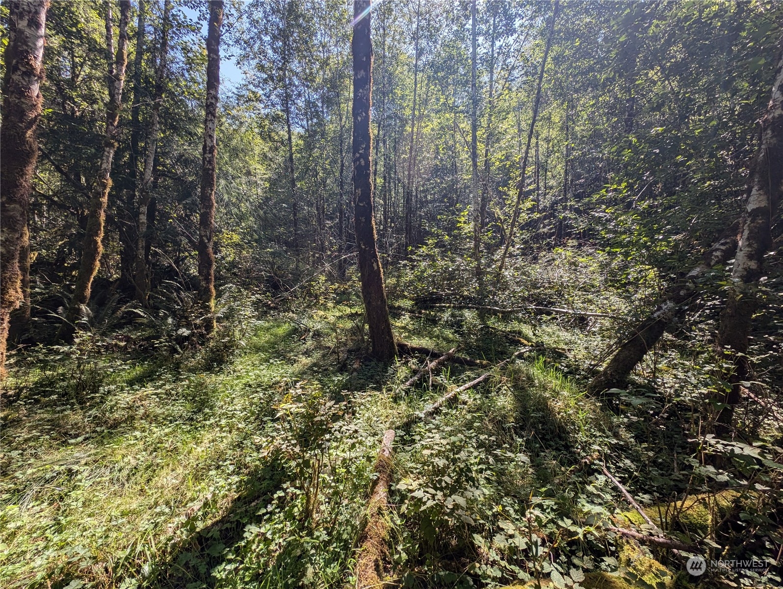 99994 Dowans Creek Road Property Photo 16
