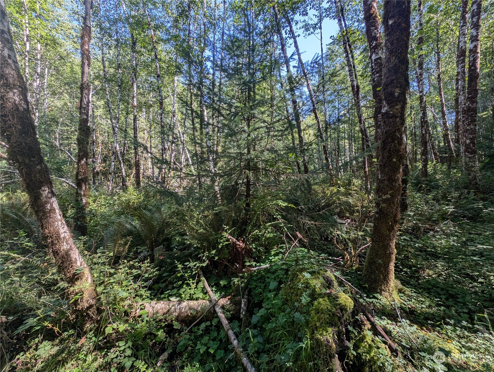 99994 Dowans Creek Road Property Photo 18