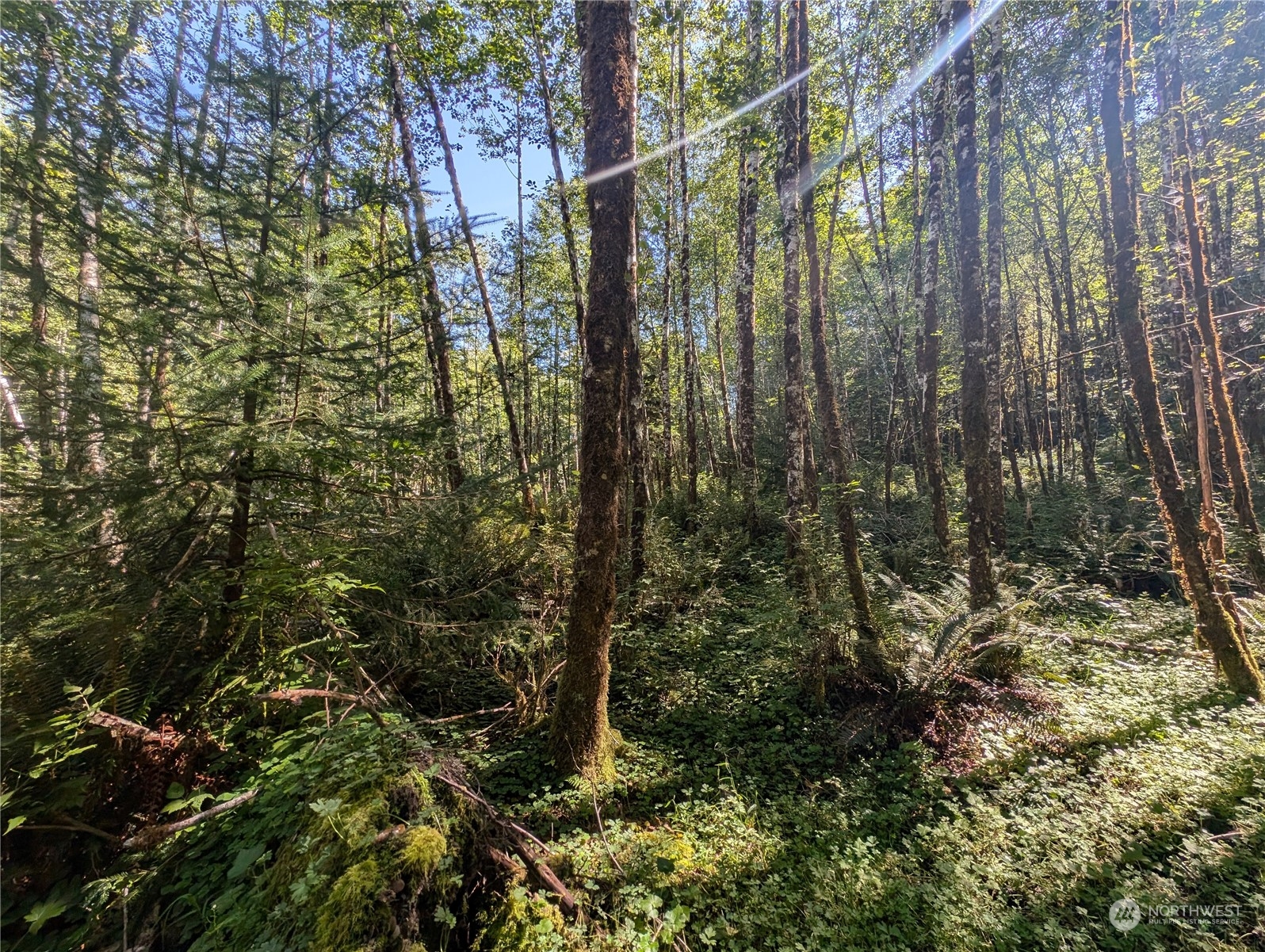 99994 Dowans Creek Road Property Photo 19
