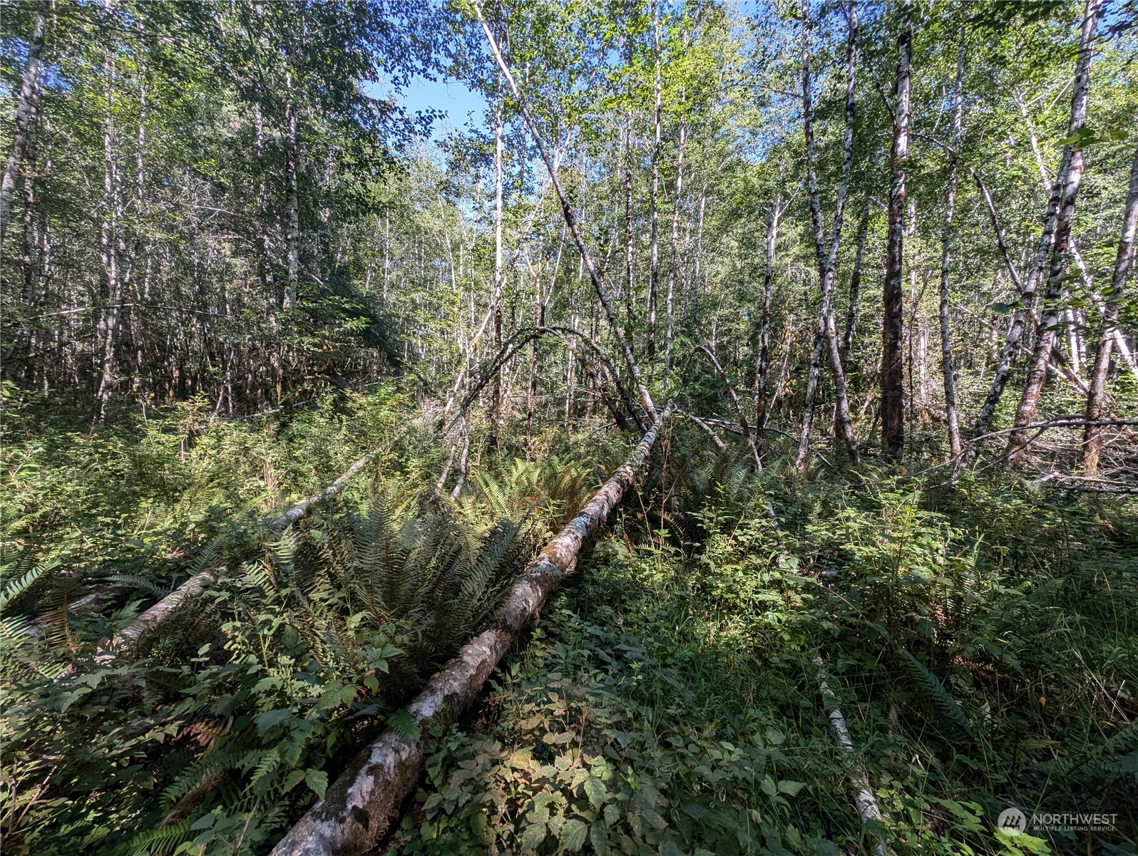 99994 Dowans Creek Road Property Photo 20