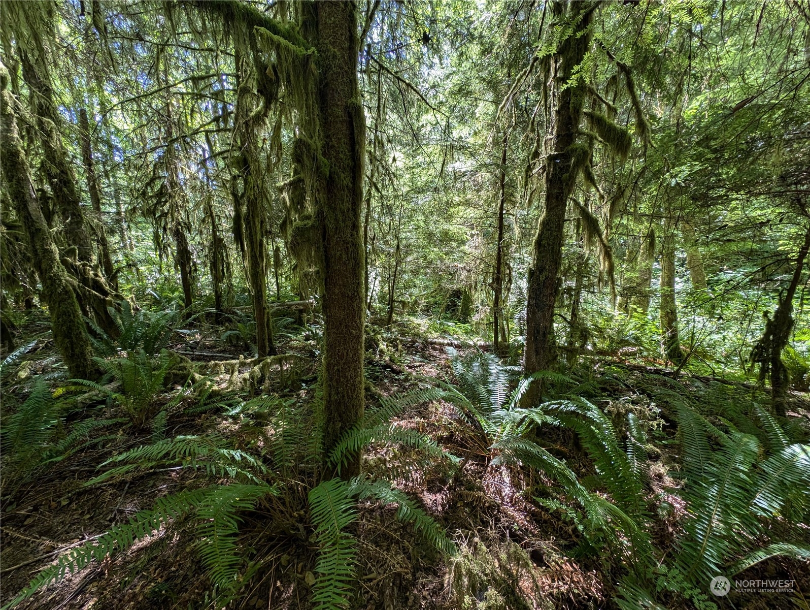 99994 Dowans Creek Road Property Photo 21