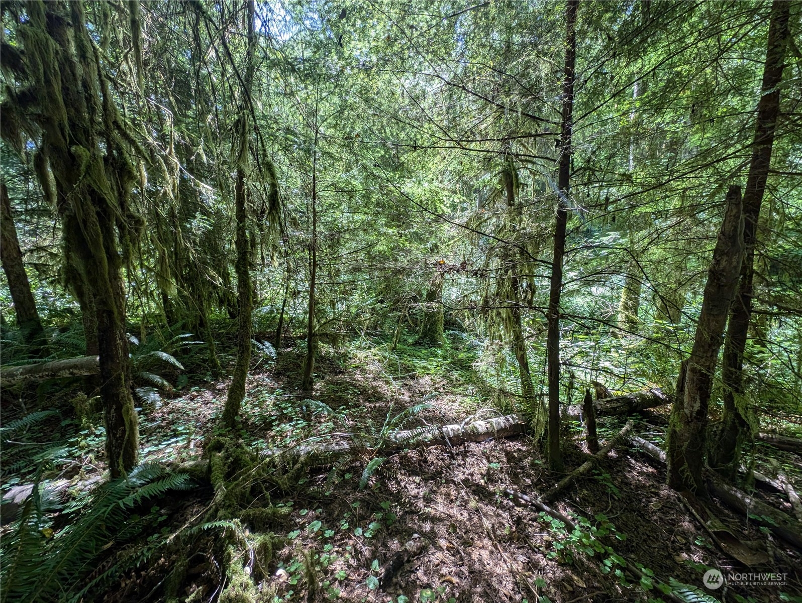 99994 Dowans Creek Road Property Photo 22