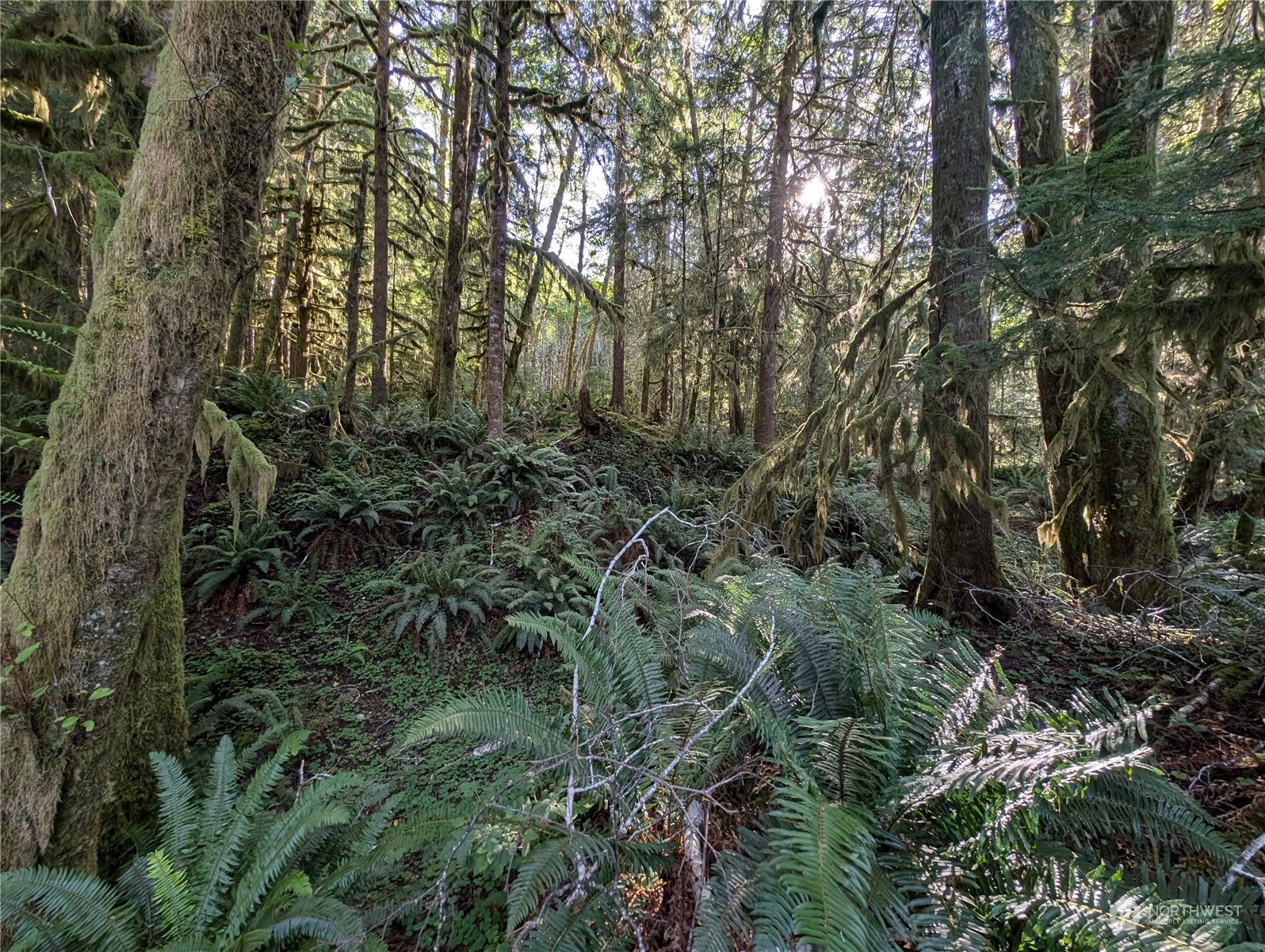 99994 Dowans Creek Road Property Photo 25