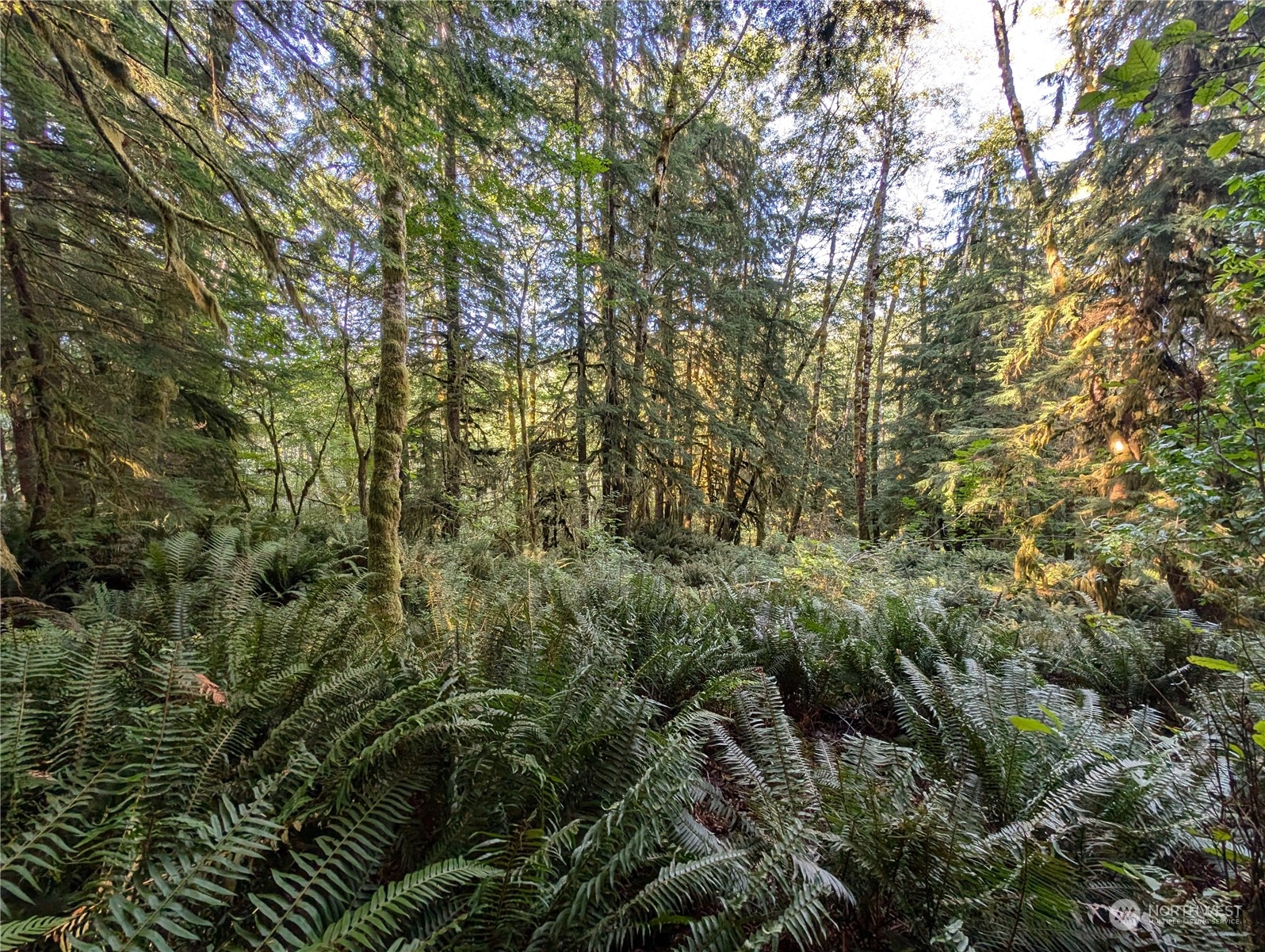 99994 Dowans Creek Road Property Photo 26
