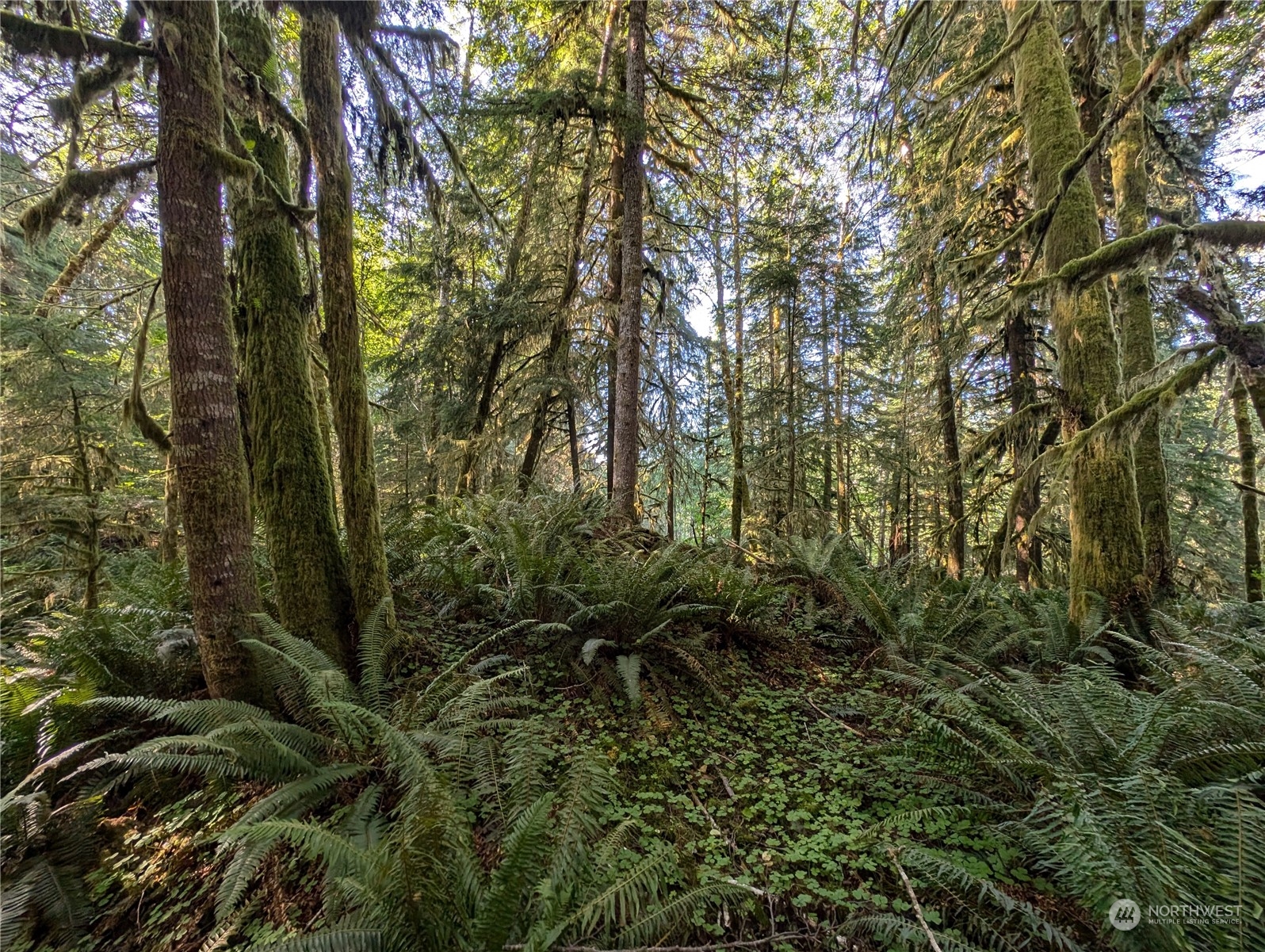 99994 Dowans Creek Road Property Photo 27