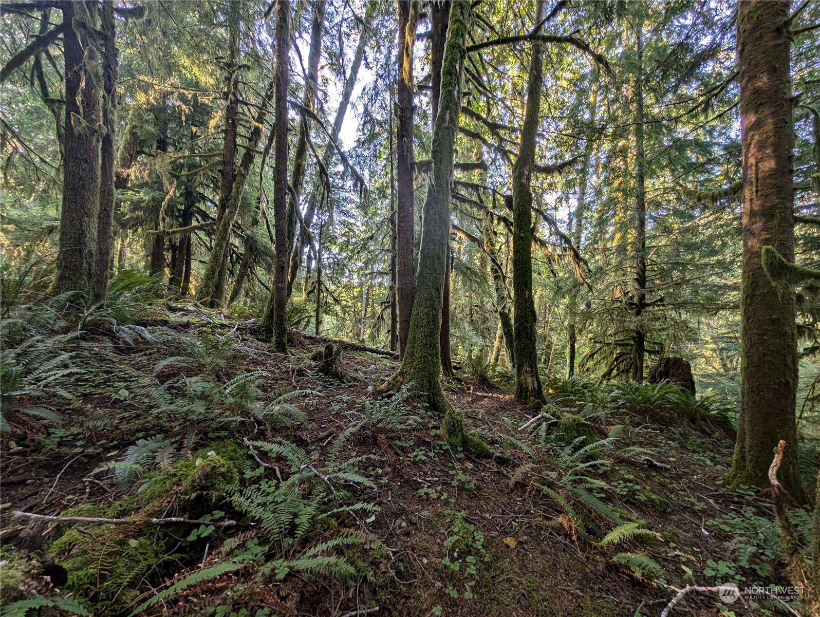 99994 Dowans Creek Road Property Photo 30