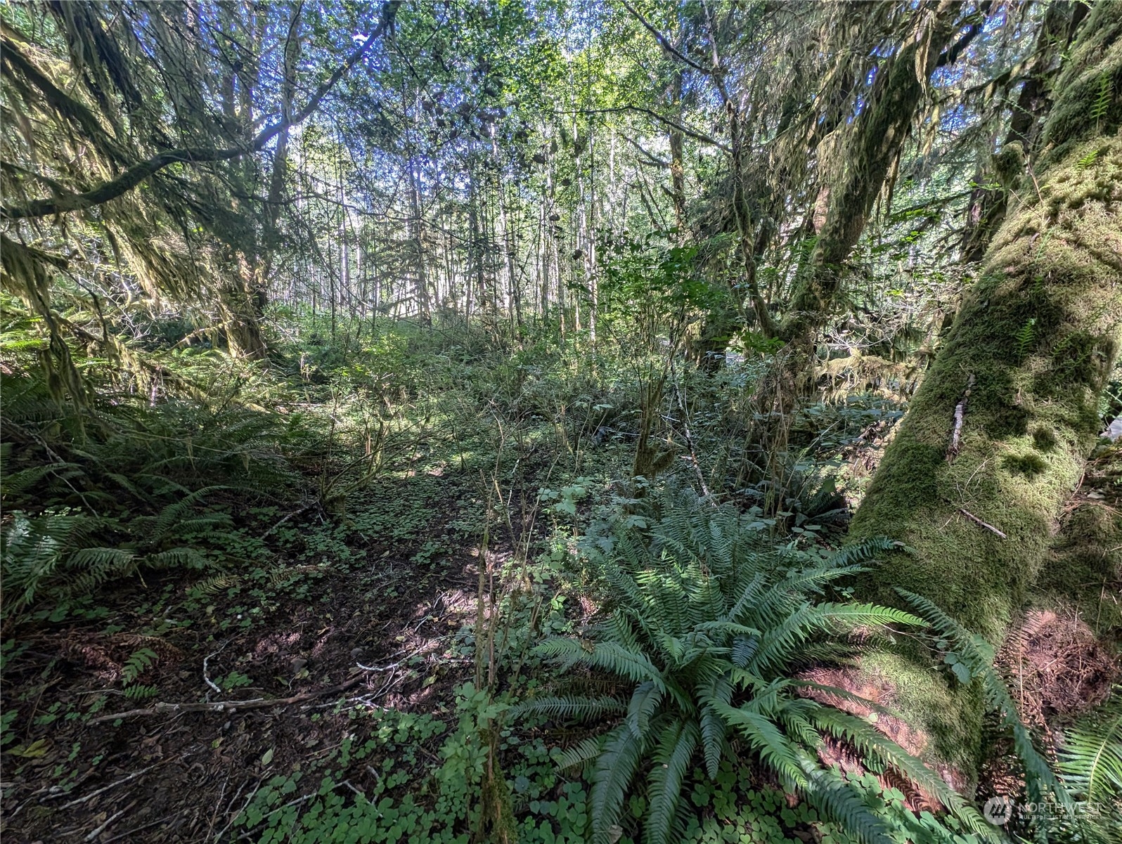 99994 Dowans Creek Road Property Photo 31