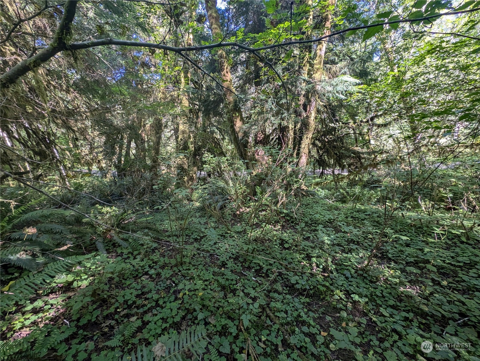 99994 Dowans Creek Road Property Photo 32