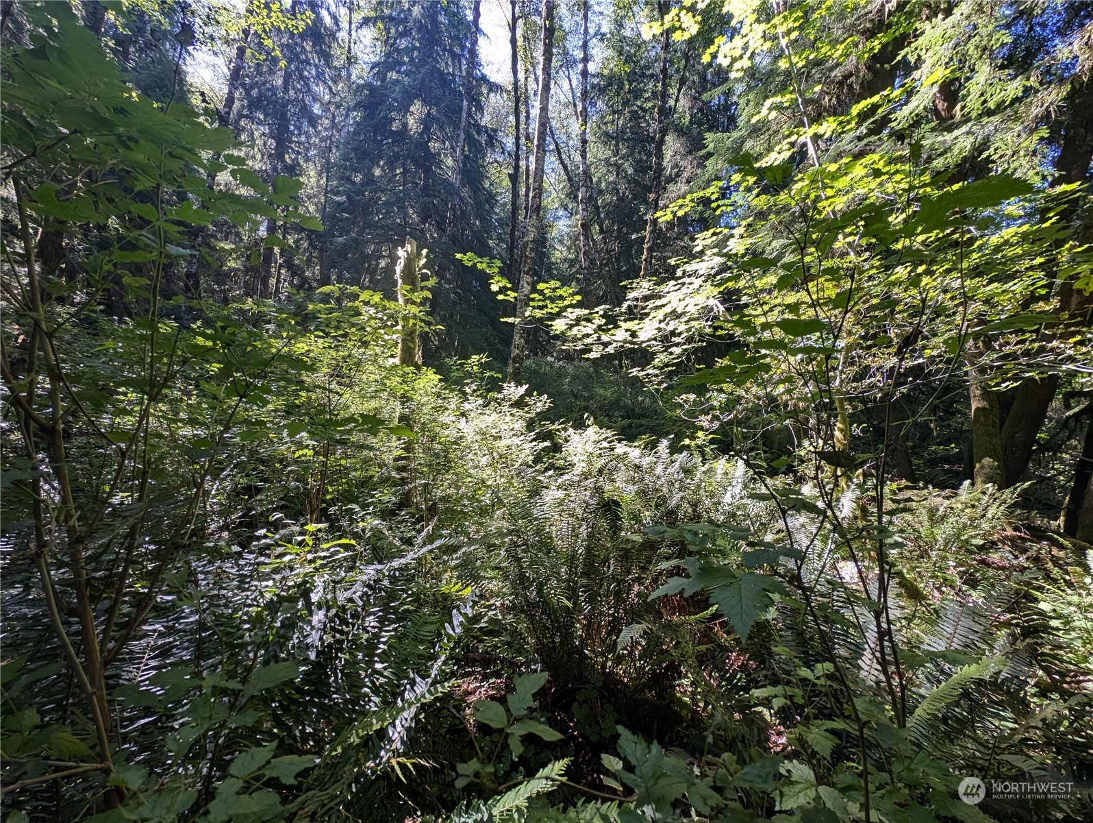 99994 Dowans Creek Road Property Photo 33