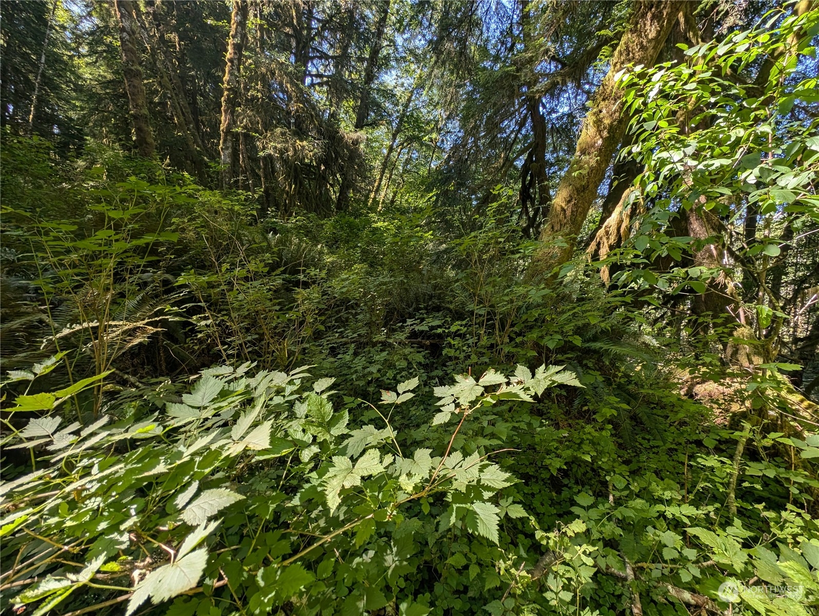 99994 Dowans Creek Road Property Photo 34